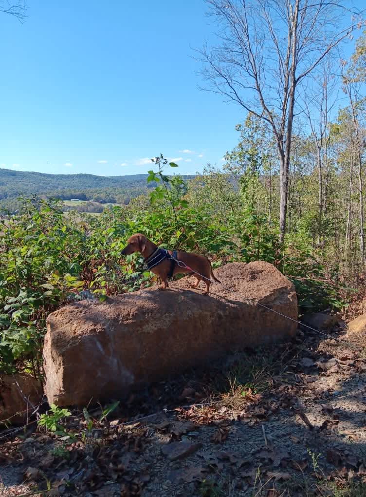 Grouseland Hospitality