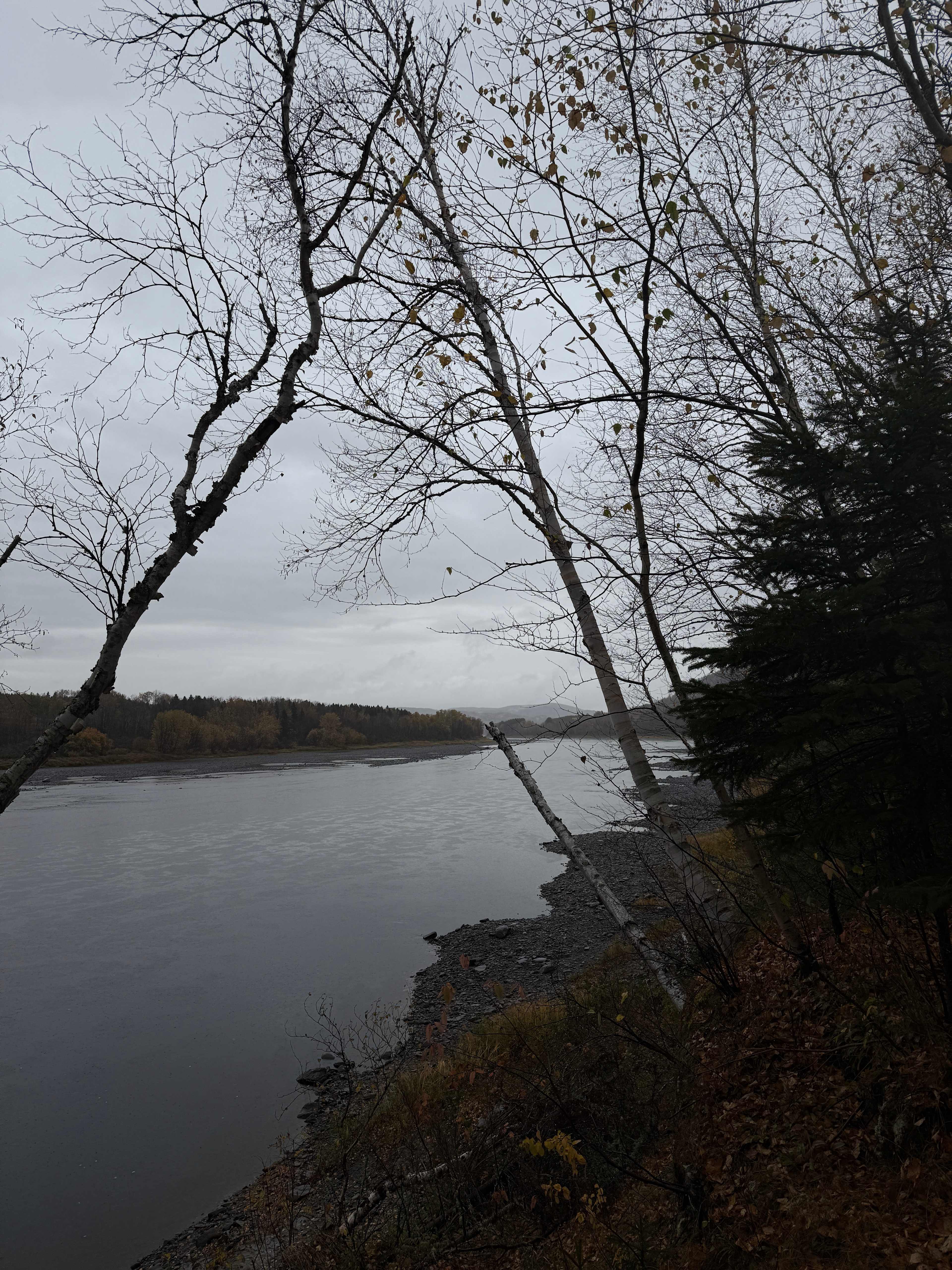 St John River Front Tenting
