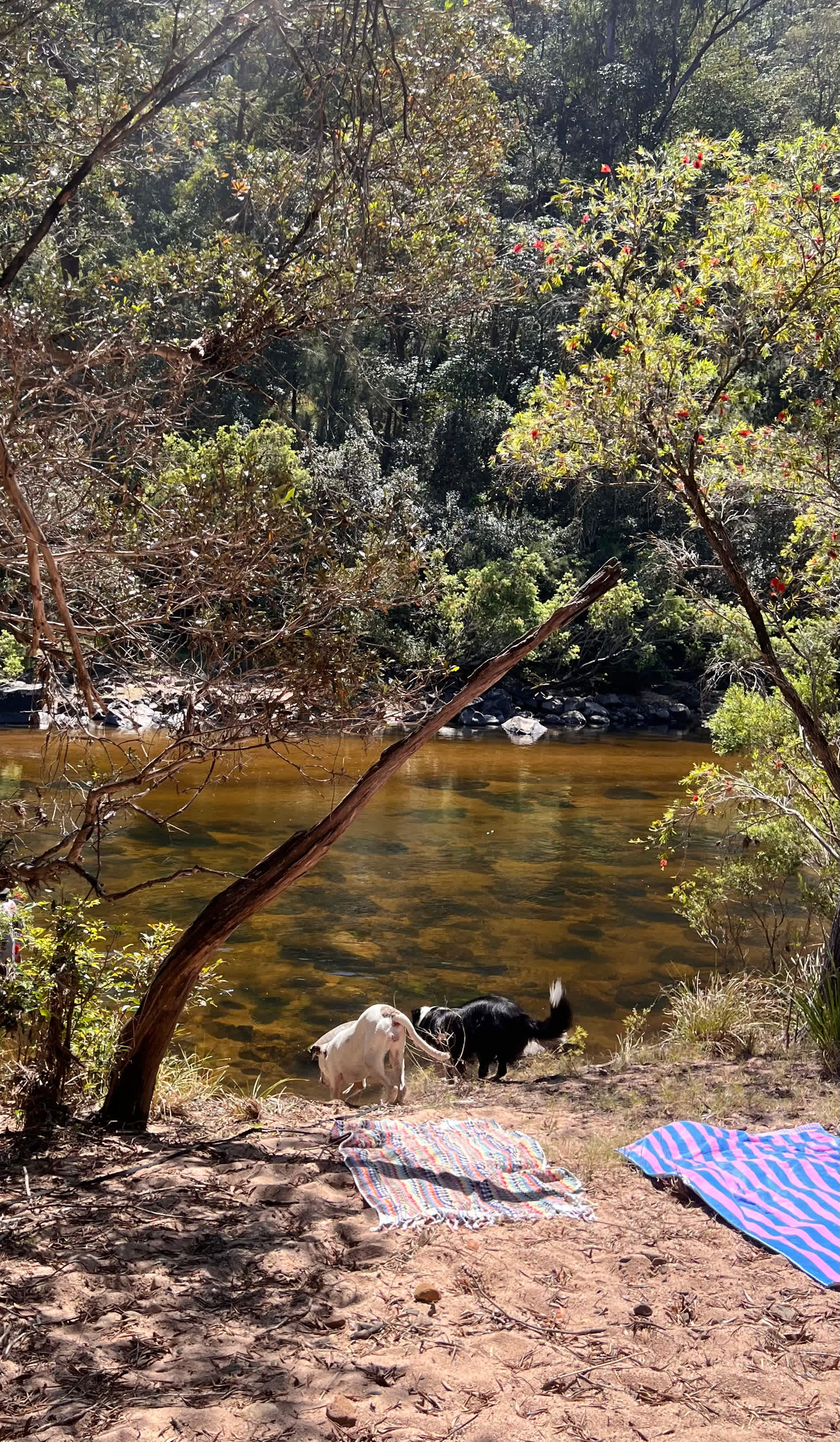 Eagle Ridge Bush Retreat