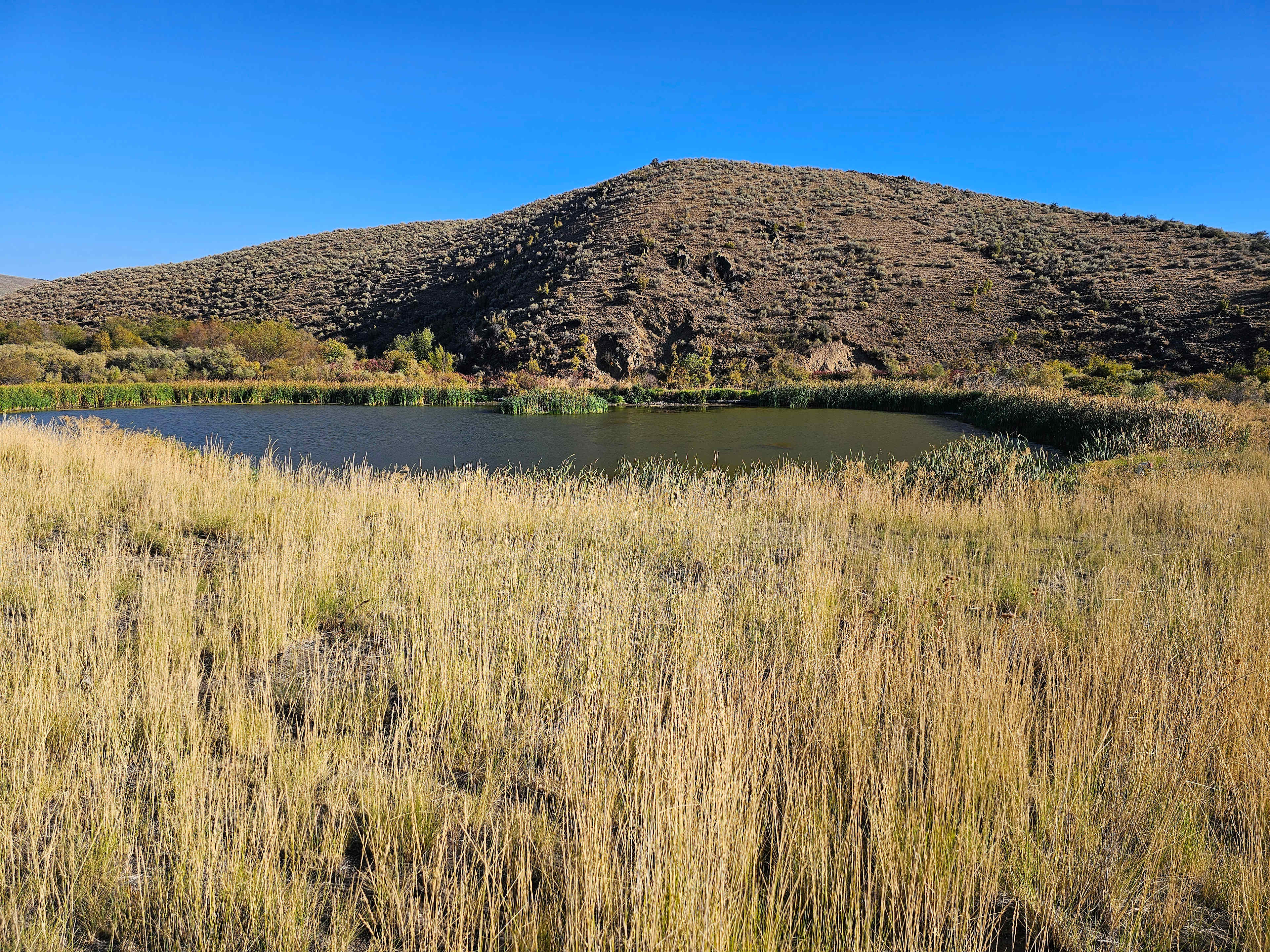 Pondosa, Oregon. Old mill town.