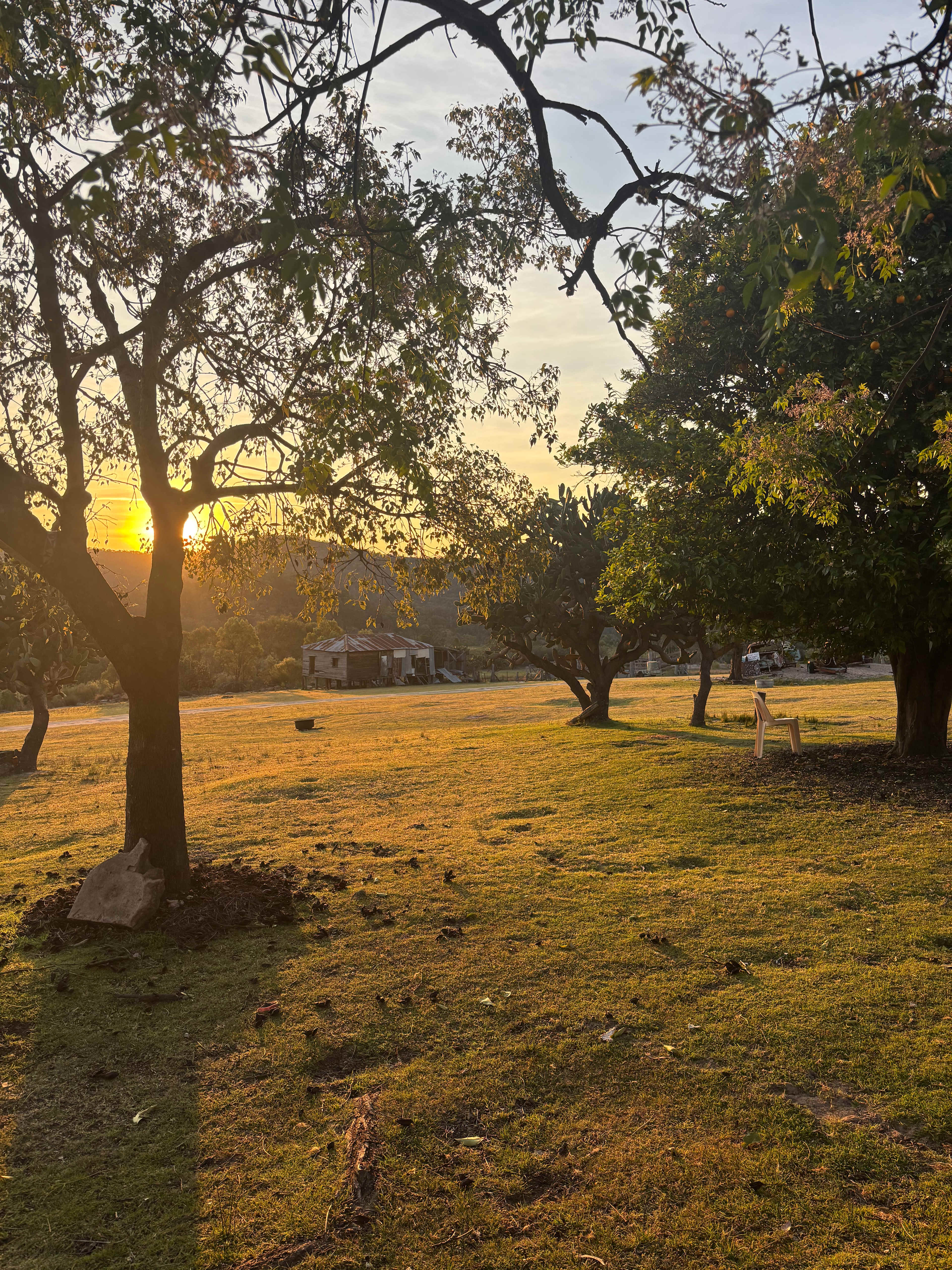 Afternoons in the Shearing Shed campground