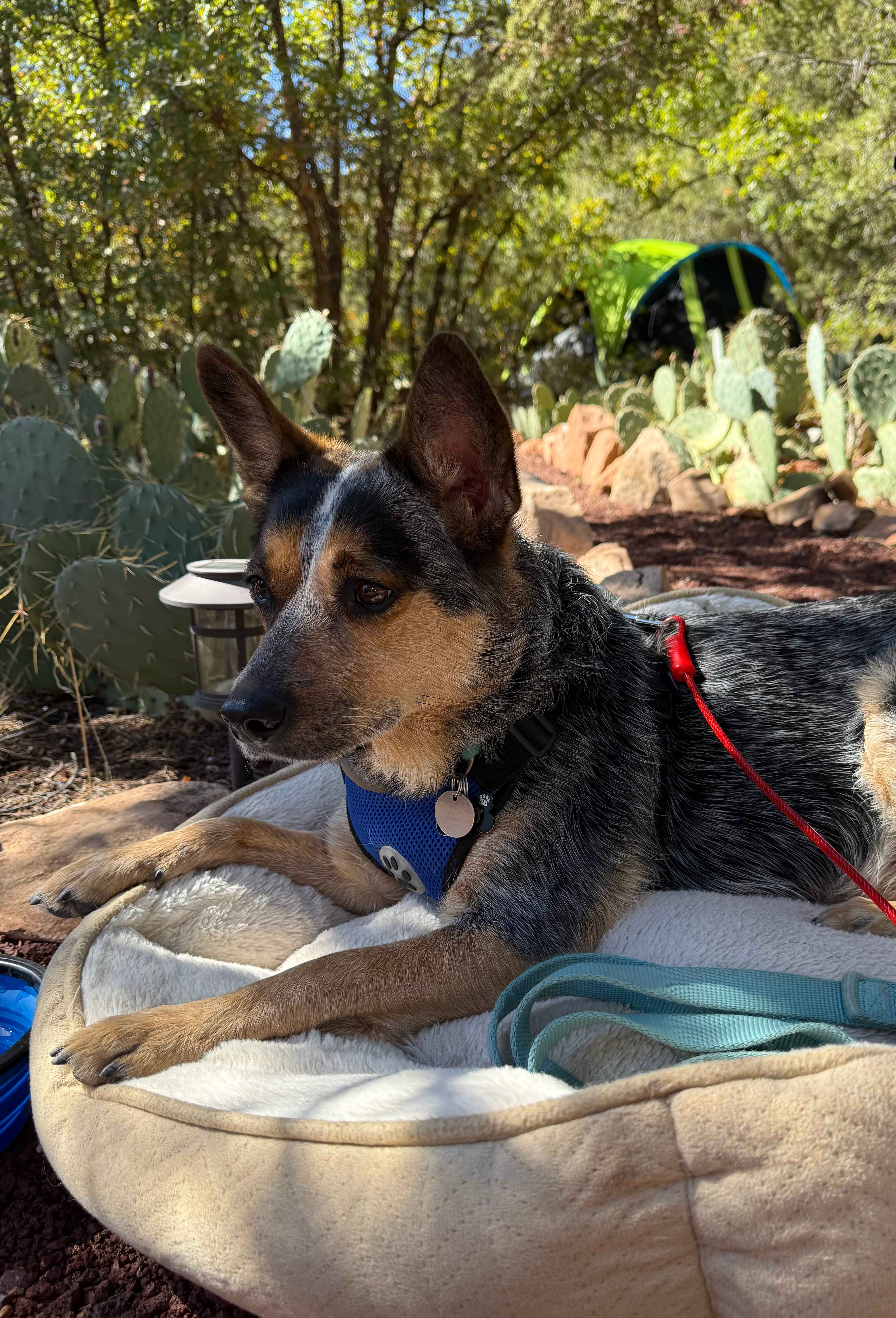 Water Canyon Campground and Resort