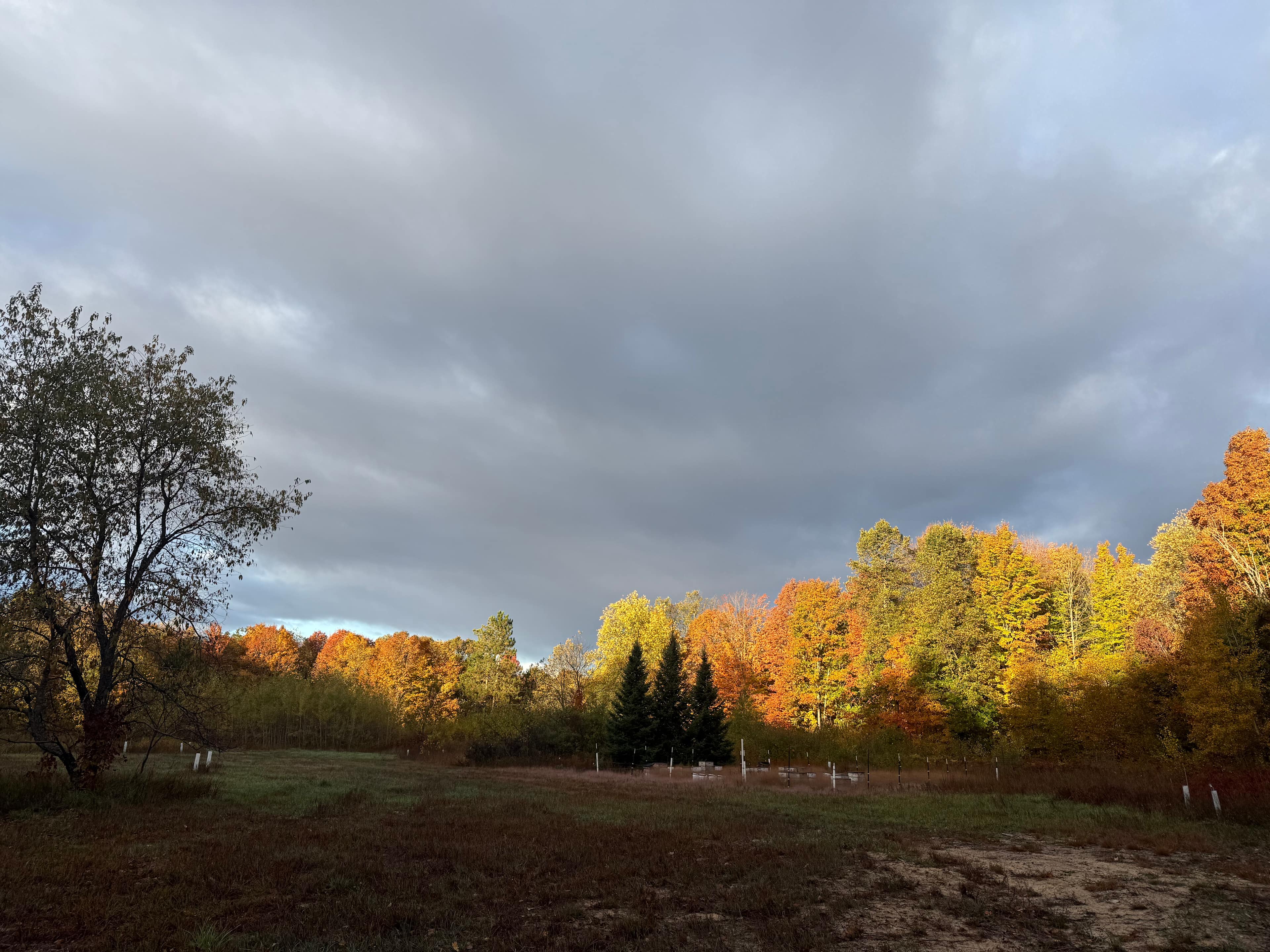 400 acres of private forest-Tent-RV