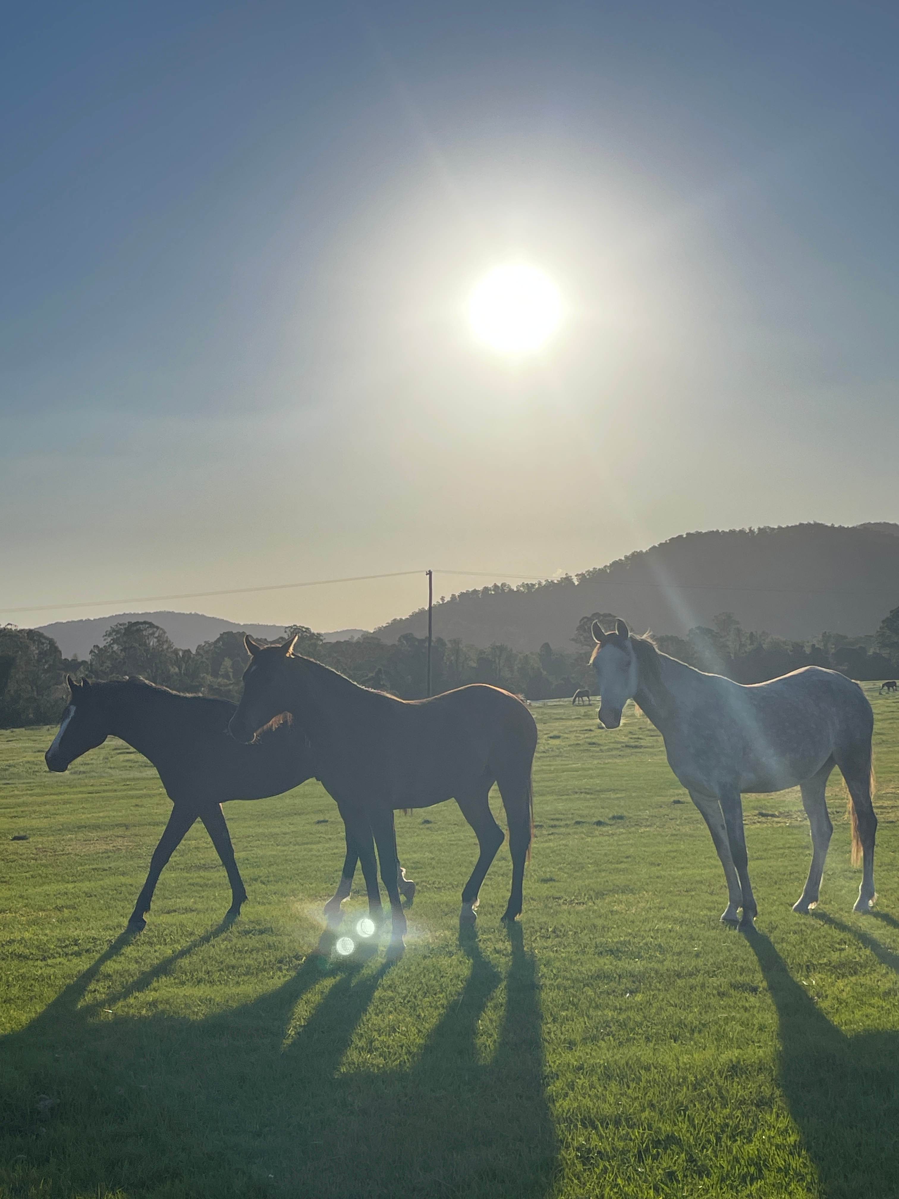 Stirling’s Crossing