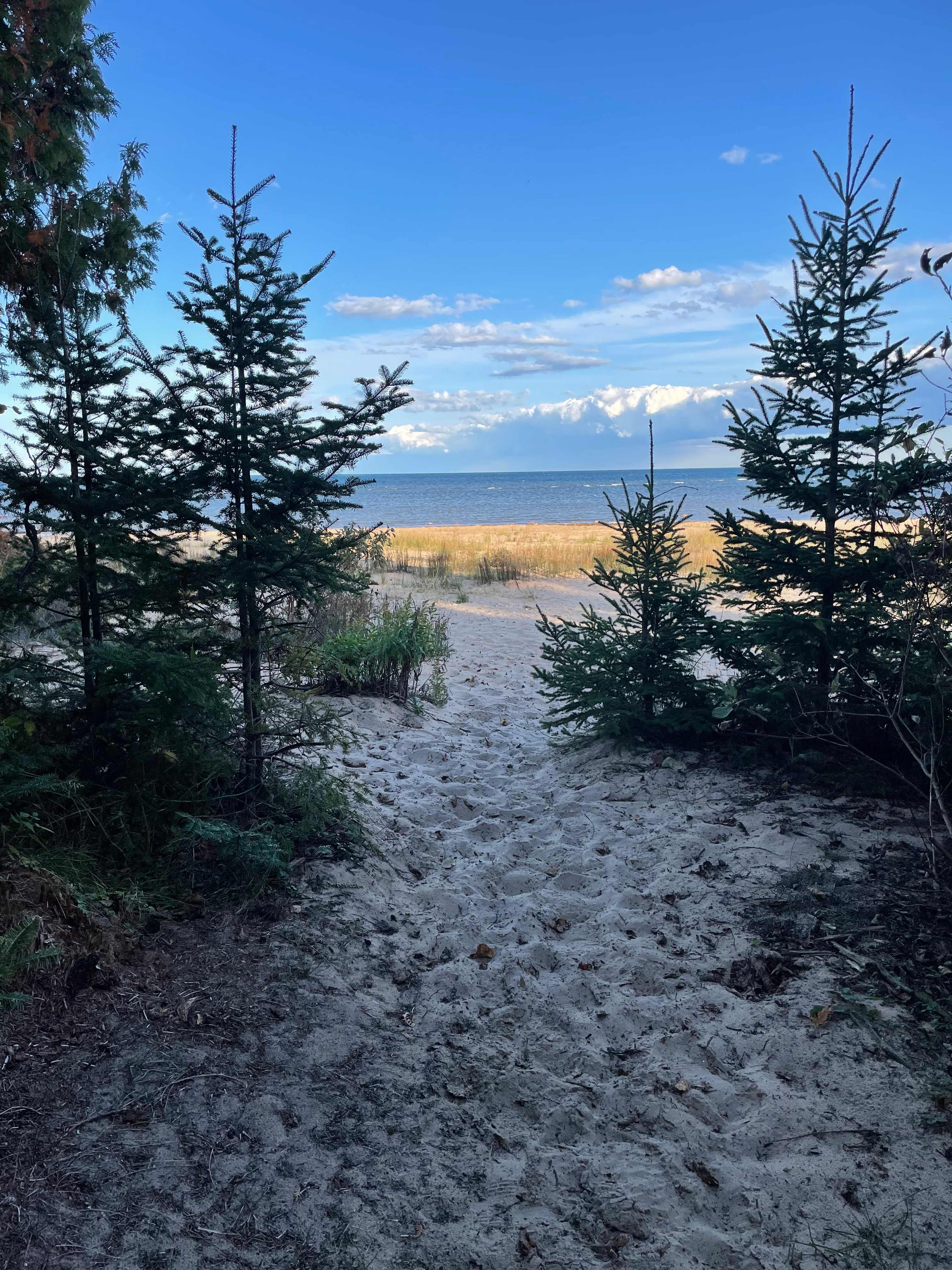 Lake Michigan Surf Camp + Sauna