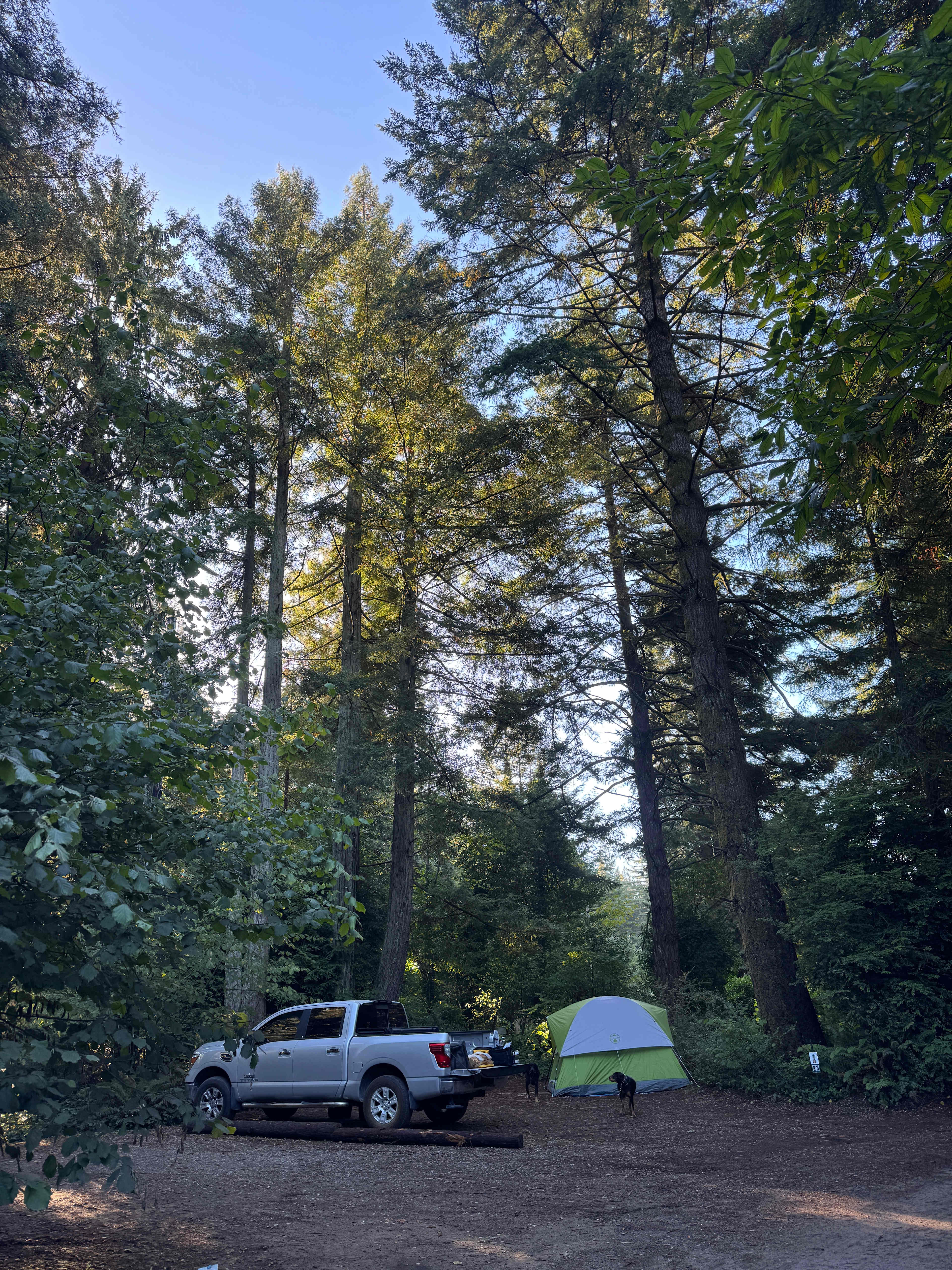 Ramblin' Redwoods Campground 