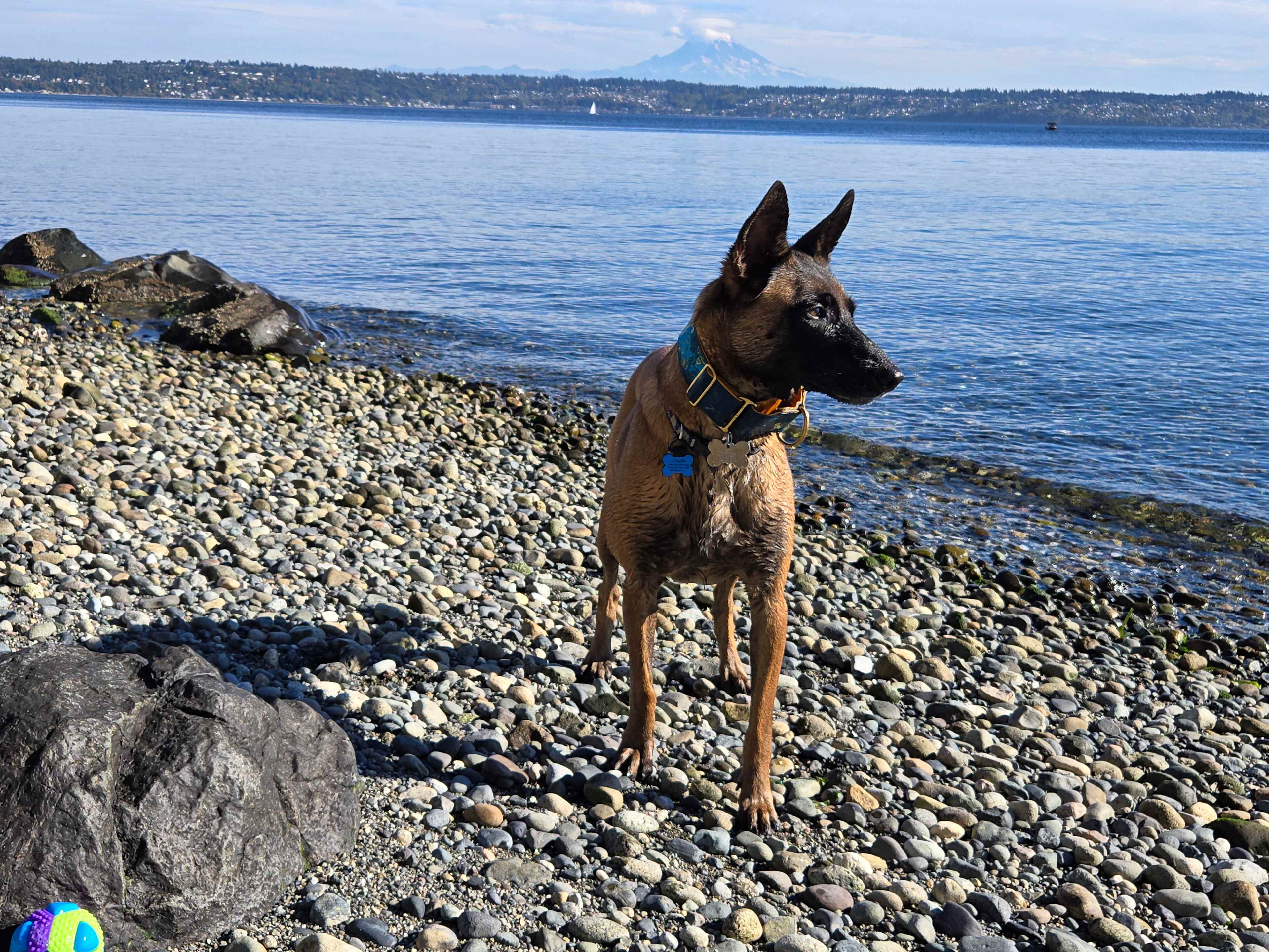 Private Beach, 15 Acres, Vashon