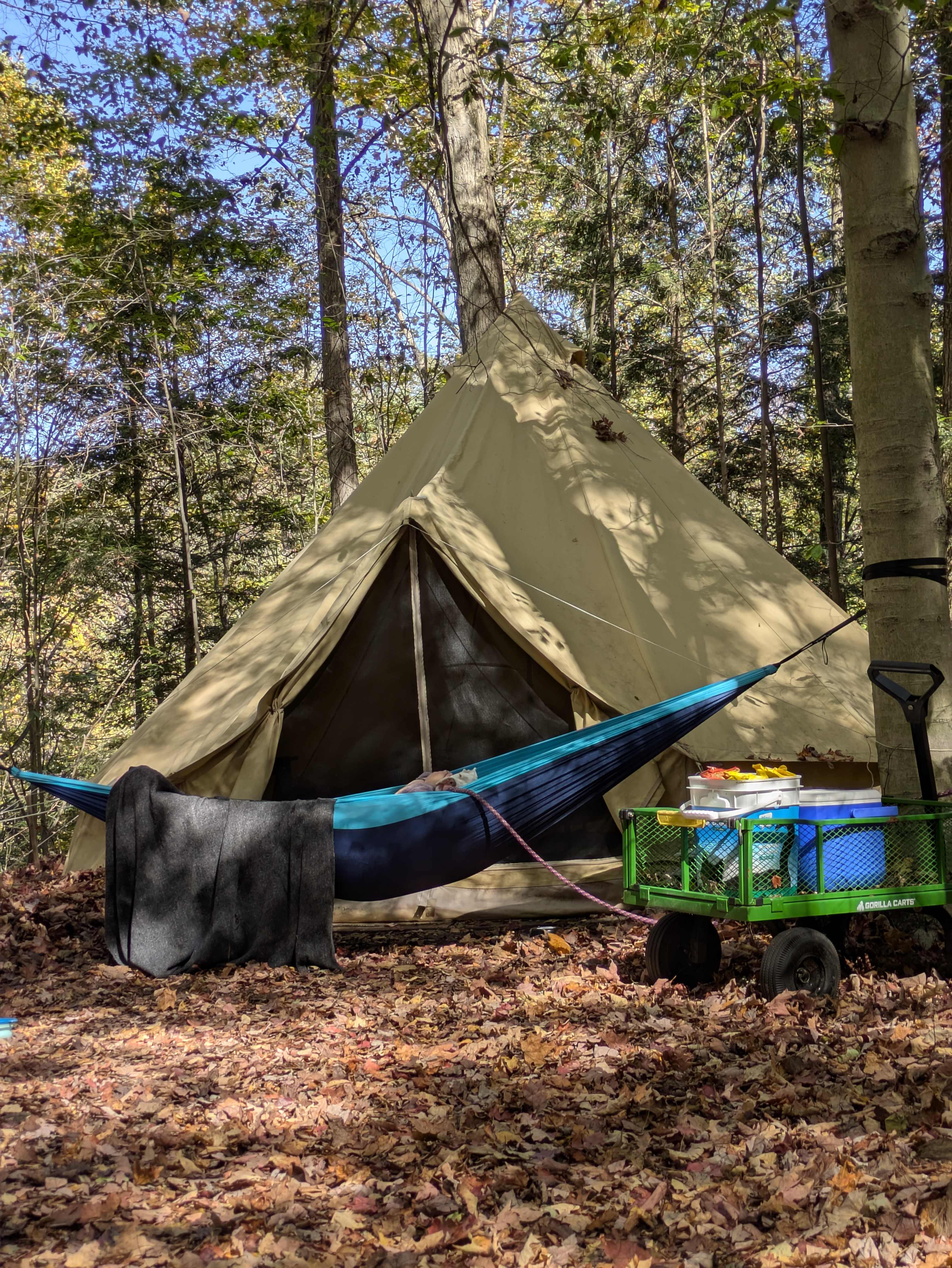 Great hammock trees right in front of the tent