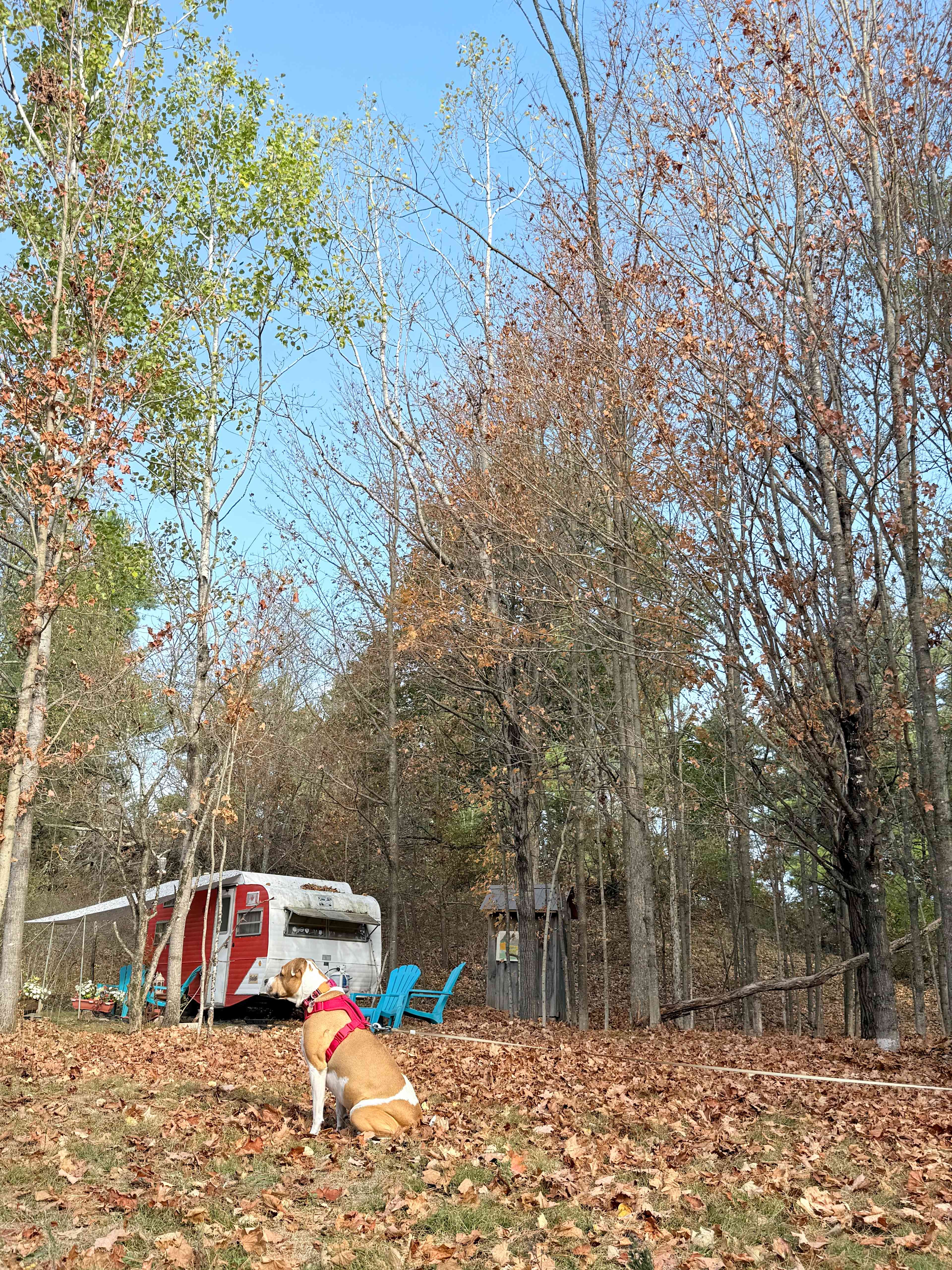 Perth Boho Chic Vintage Caravan