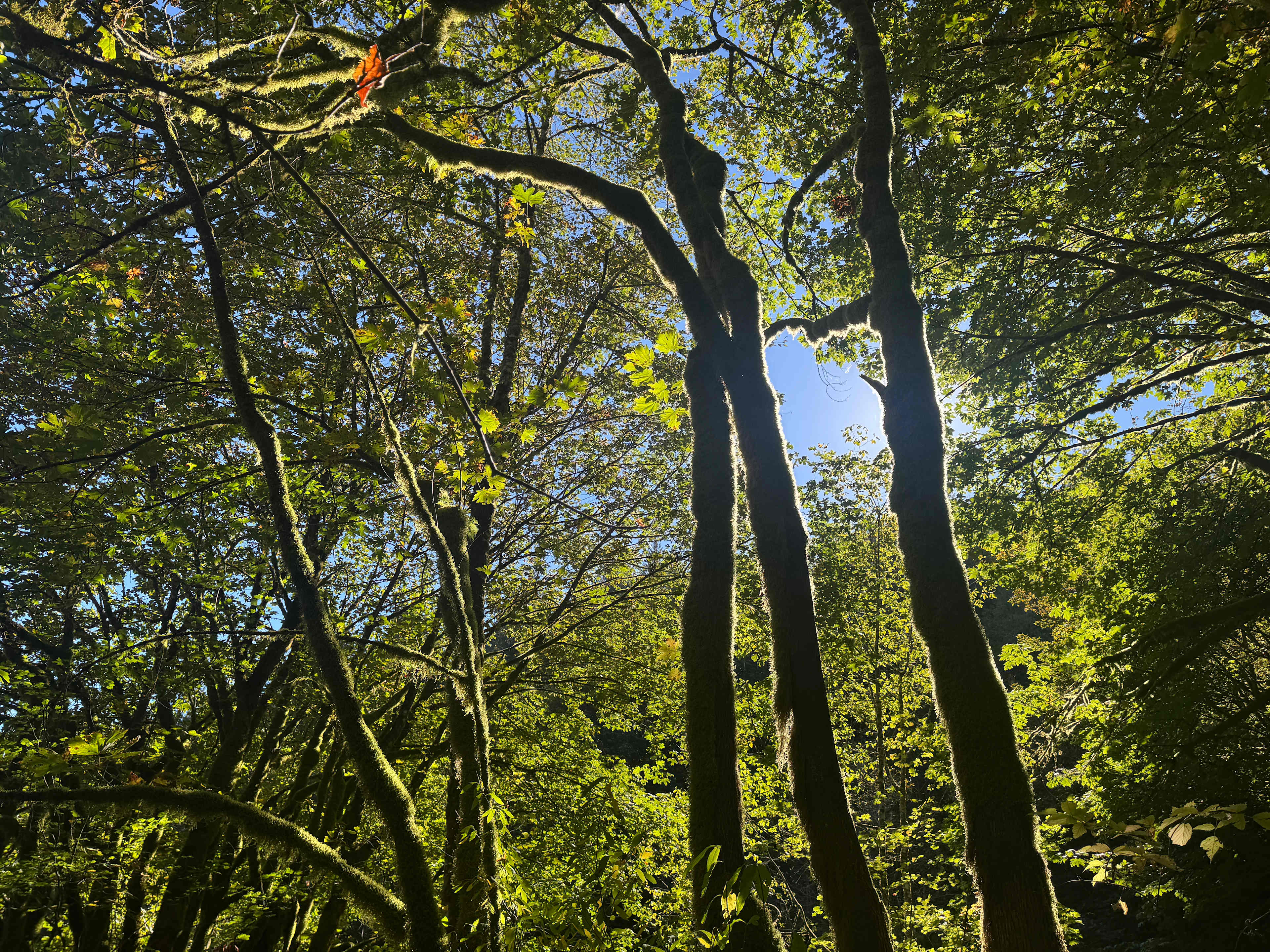 Clear Light Valley Retreat