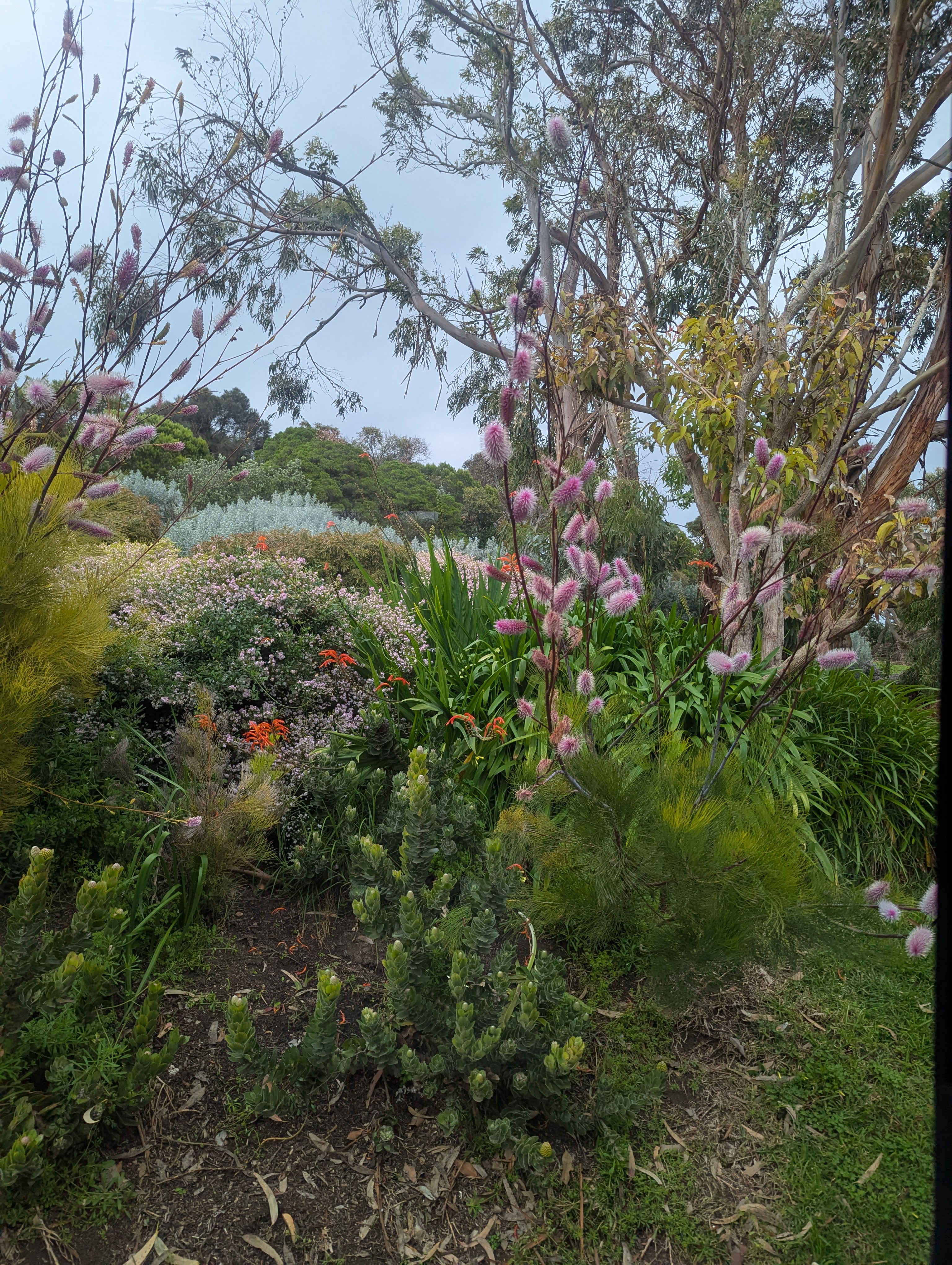 View from our camper window