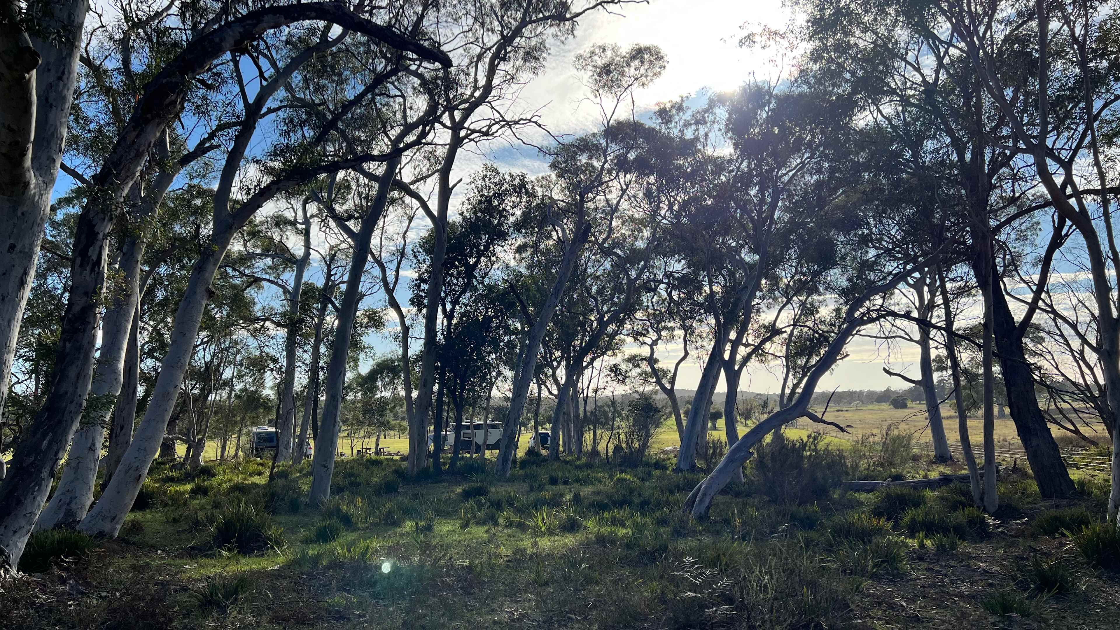 Truffle Farm Camping