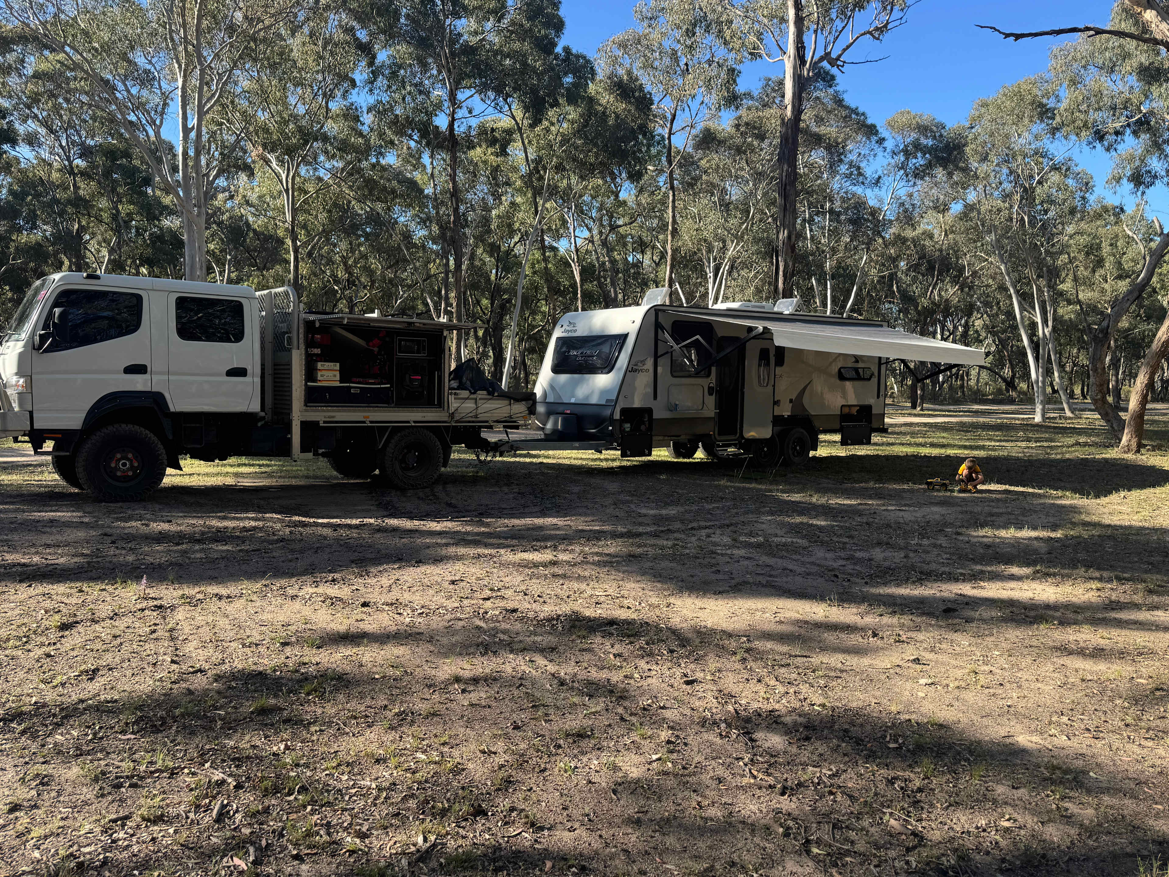 Crazy Critters Sanctuary