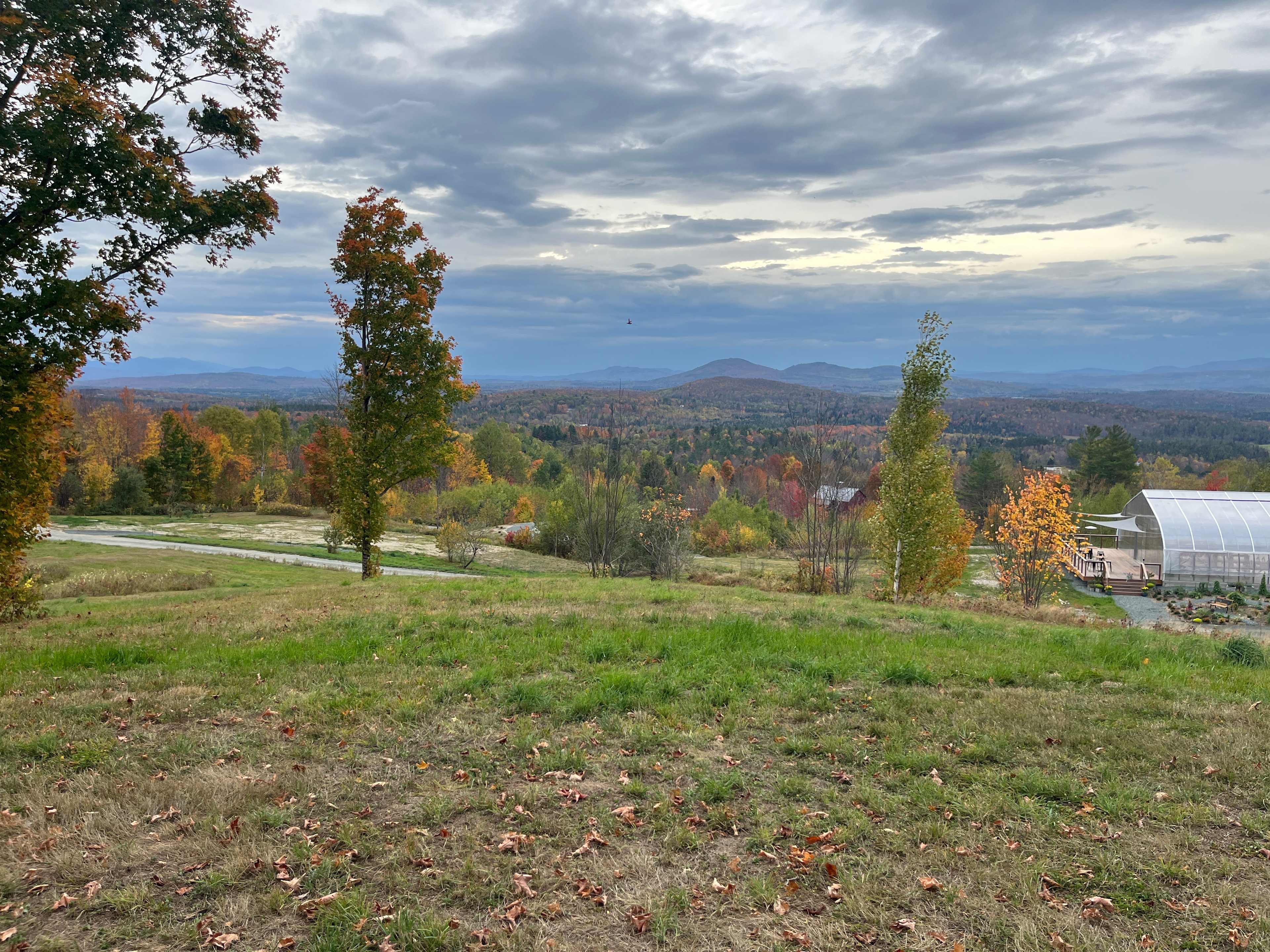Mead Hill at Mount Cabot Maple