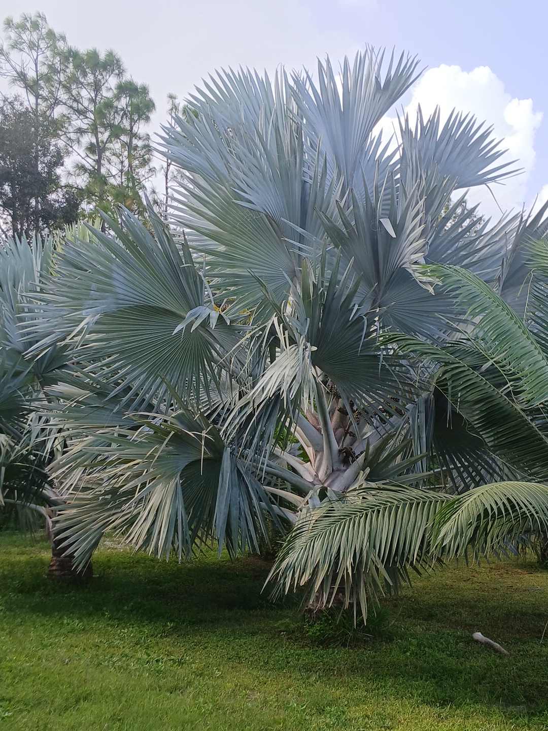 Tres Lagos Farm & Garden