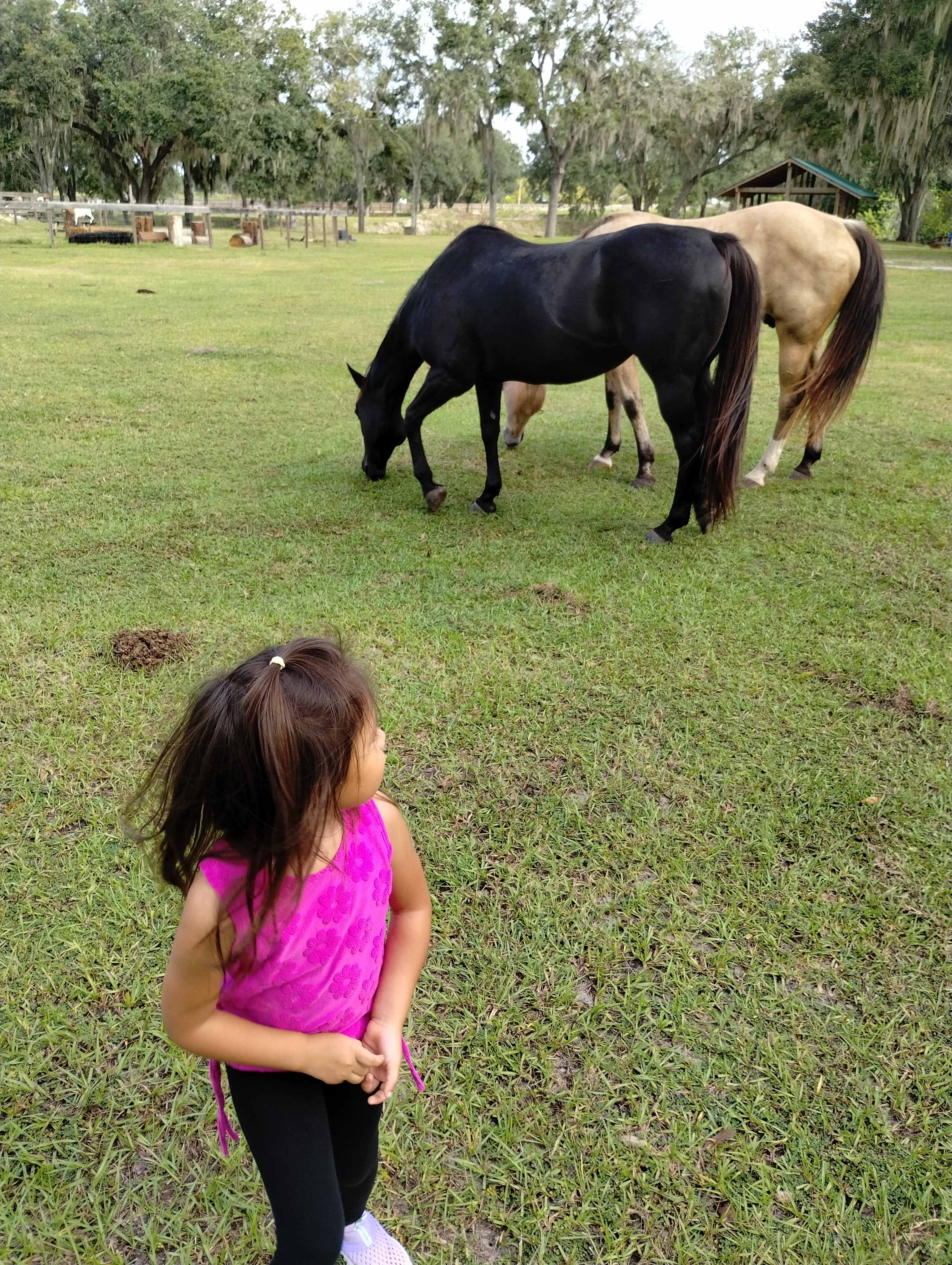 Wilderness Shores Ranch Campground!