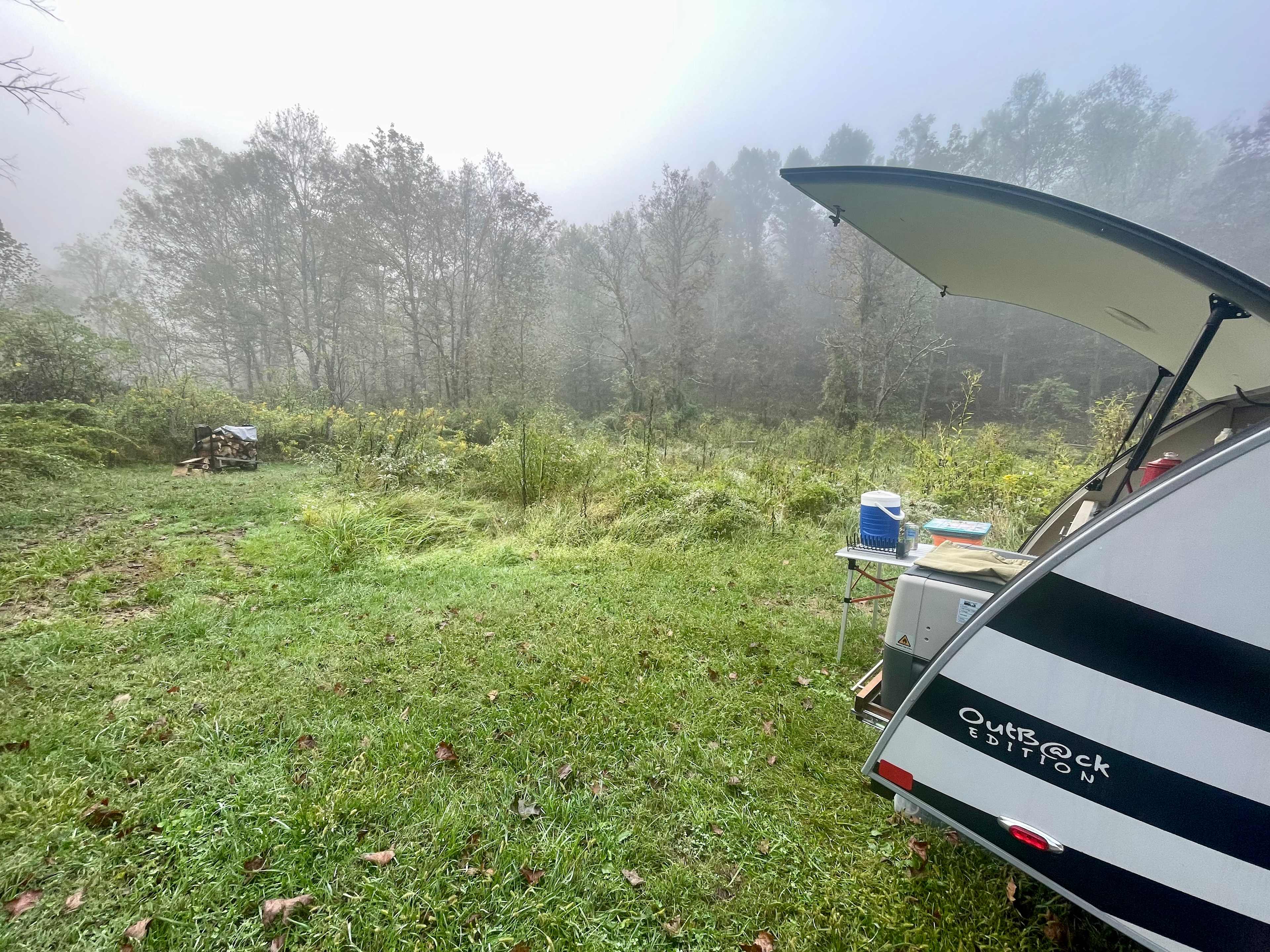 We loved all the native plants and the morning fog made it so beautiful.