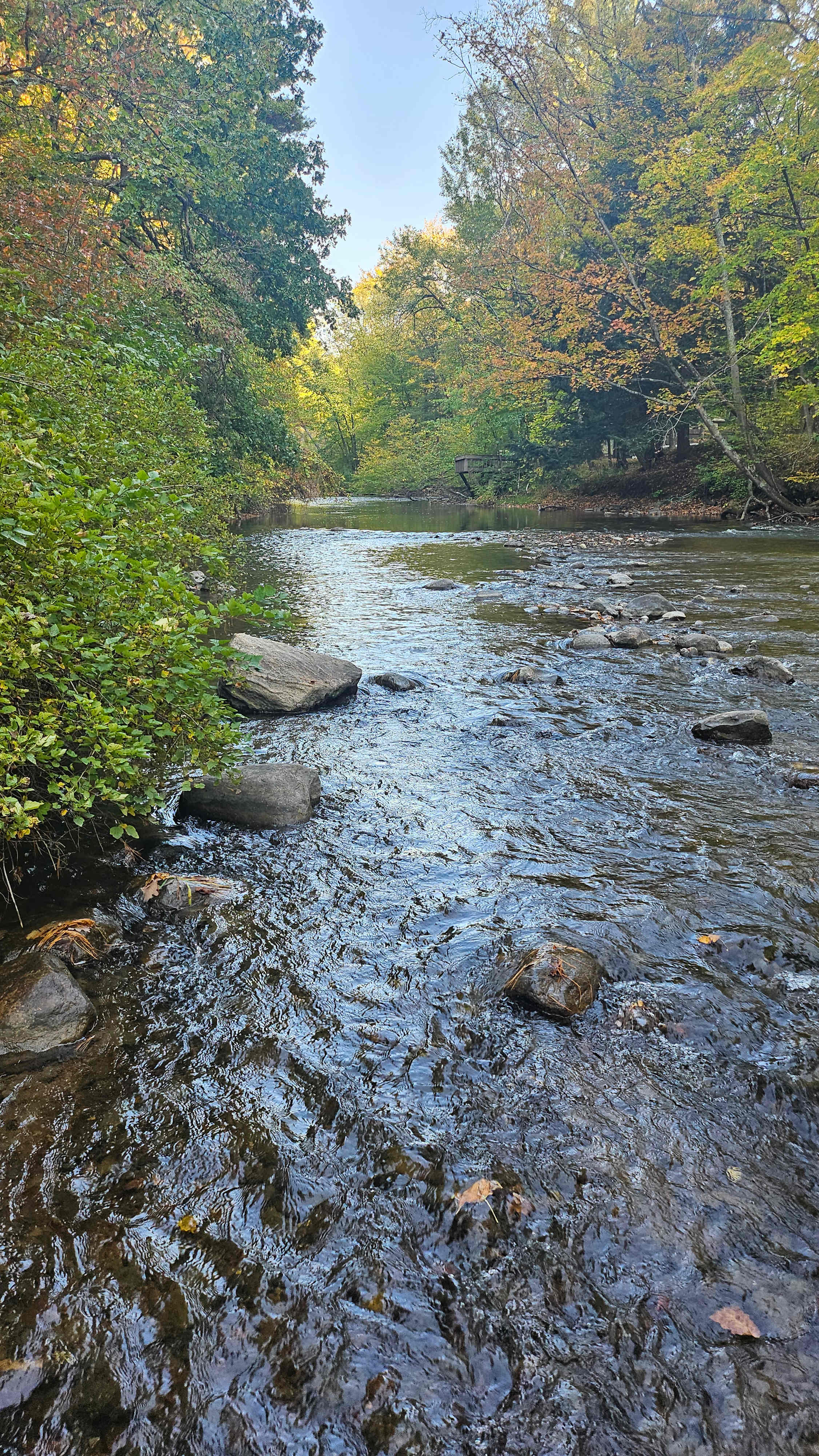 View of river from water access at site