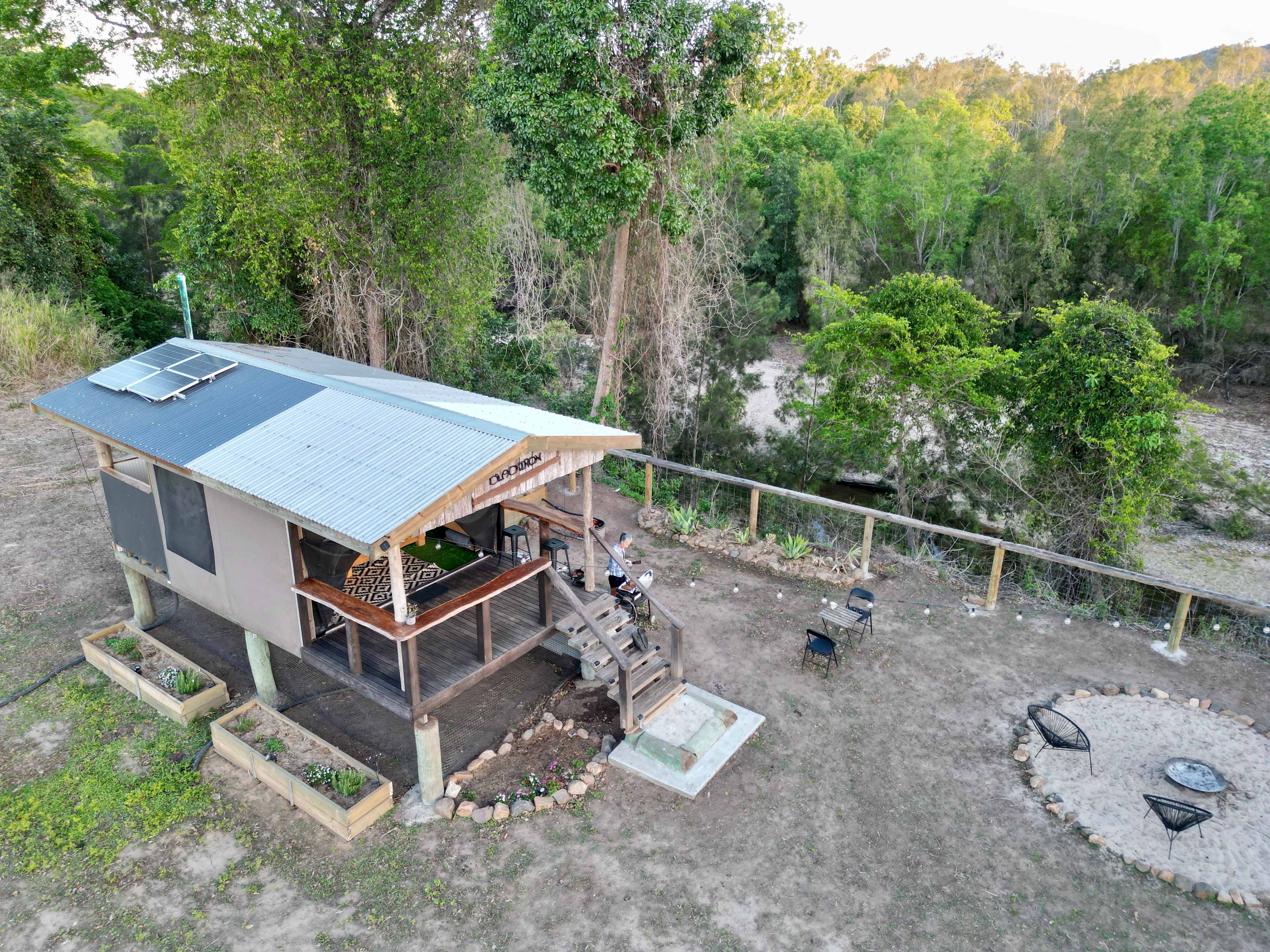 Kingfisher showing how it sits high on the embankment of the creek