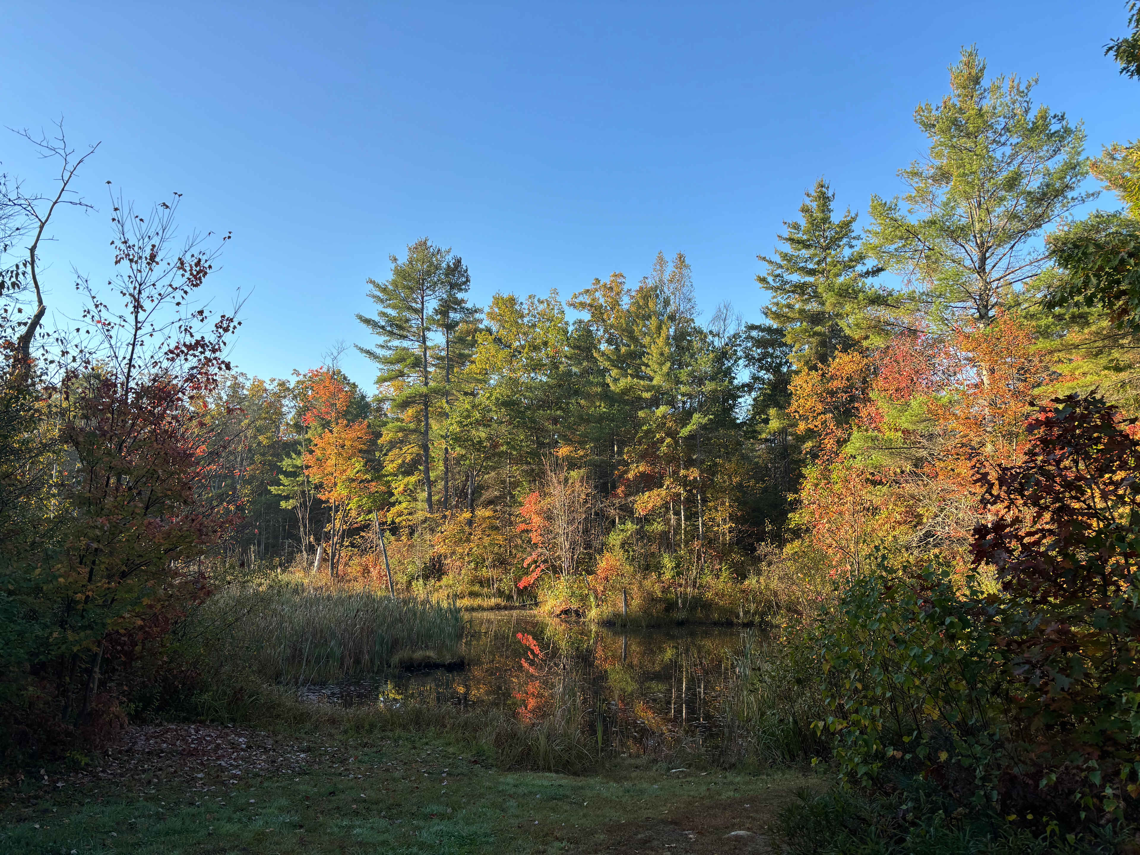 Campers Welcome to The Wolf Swamp.