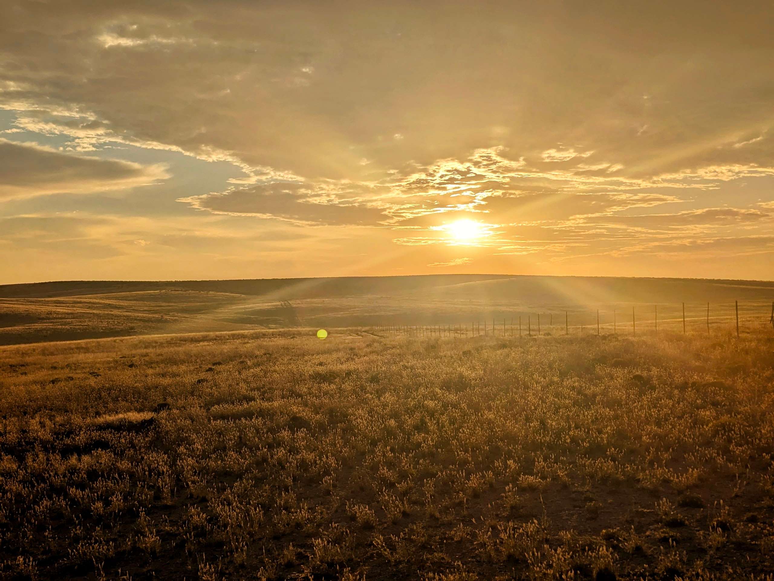Dusty Rabbit Van Life