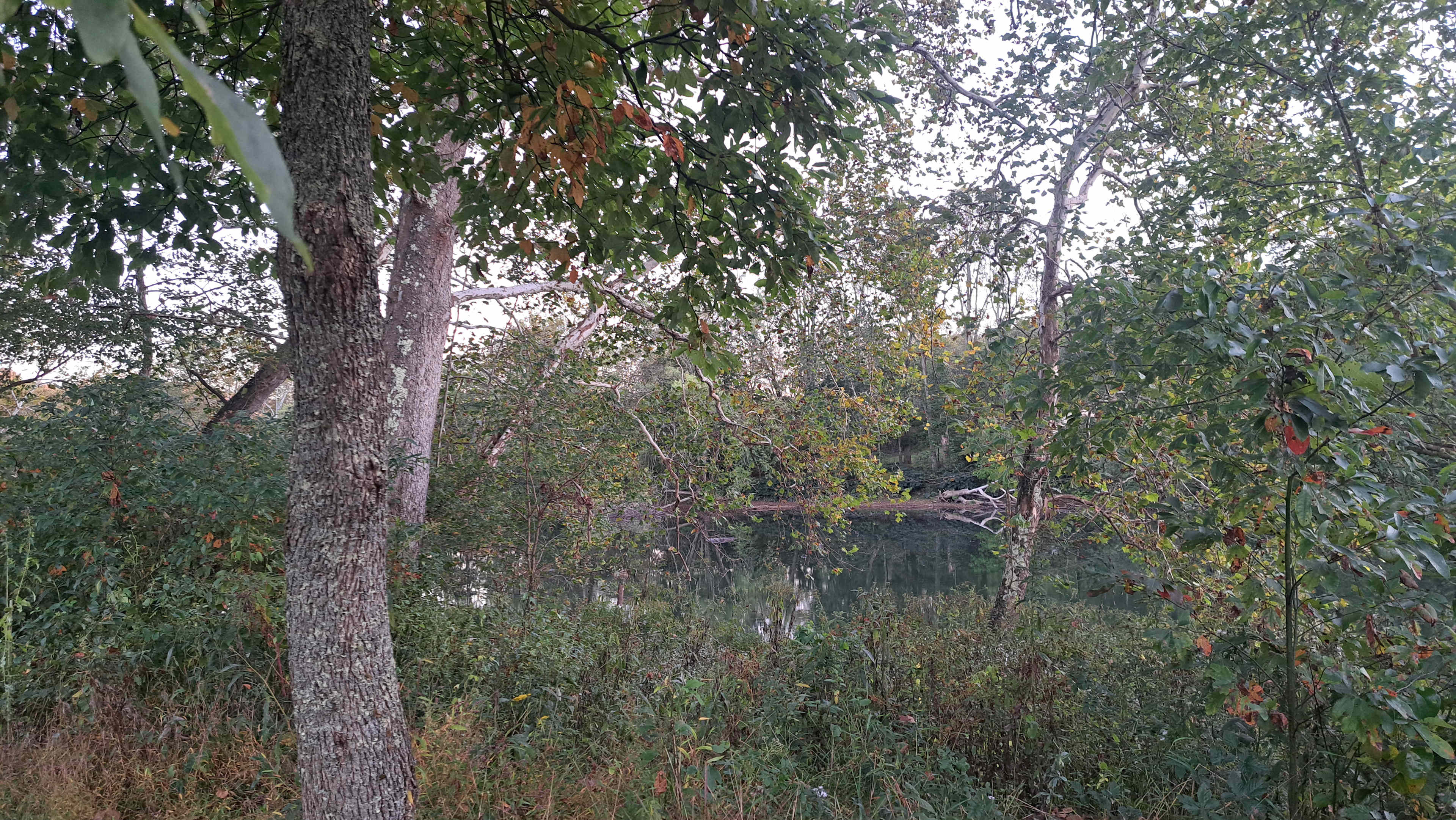 EarthSky Private Camp & Retreat