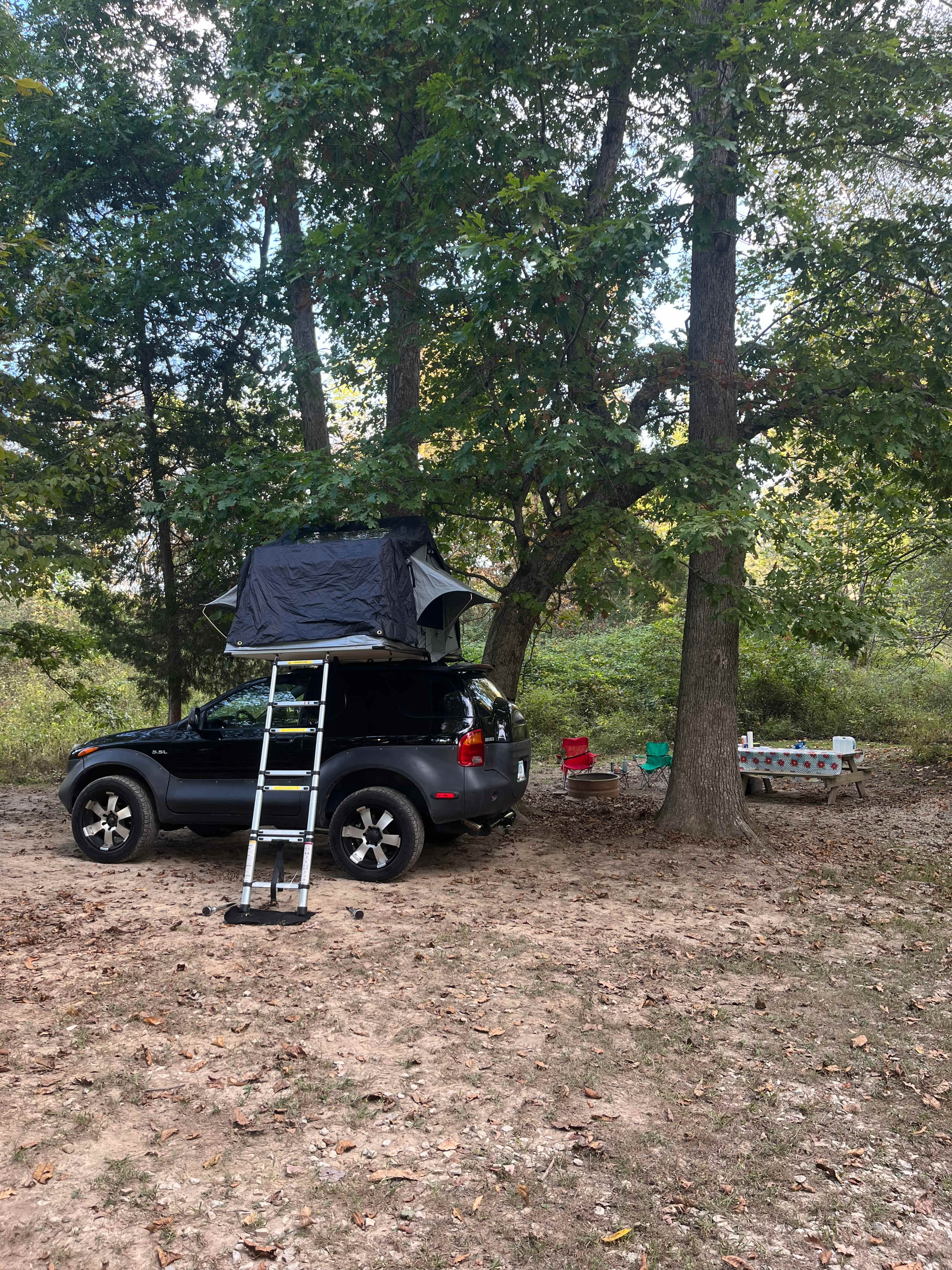 Nayture's Hilltop Farm