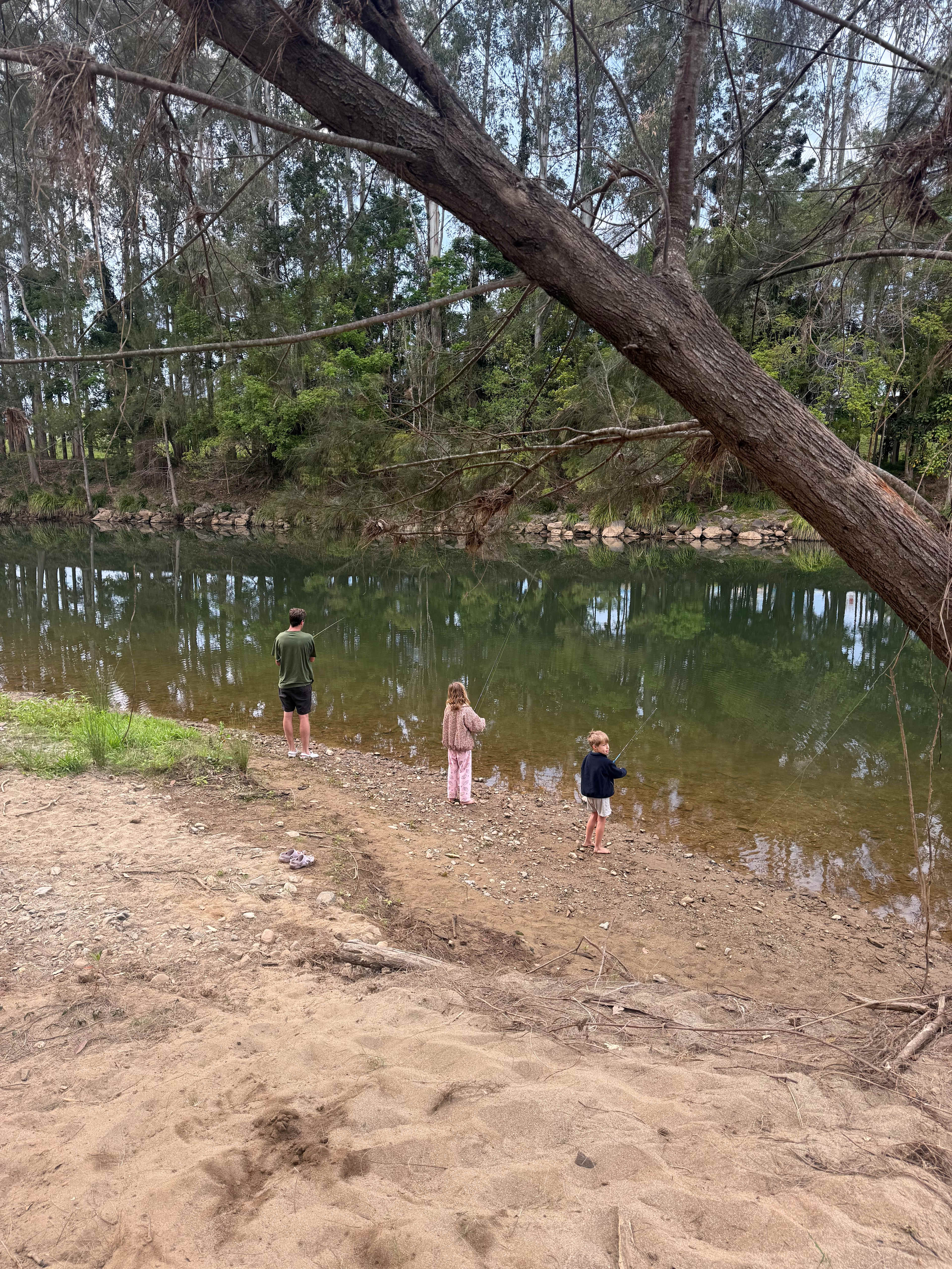 Bellinger River Camping