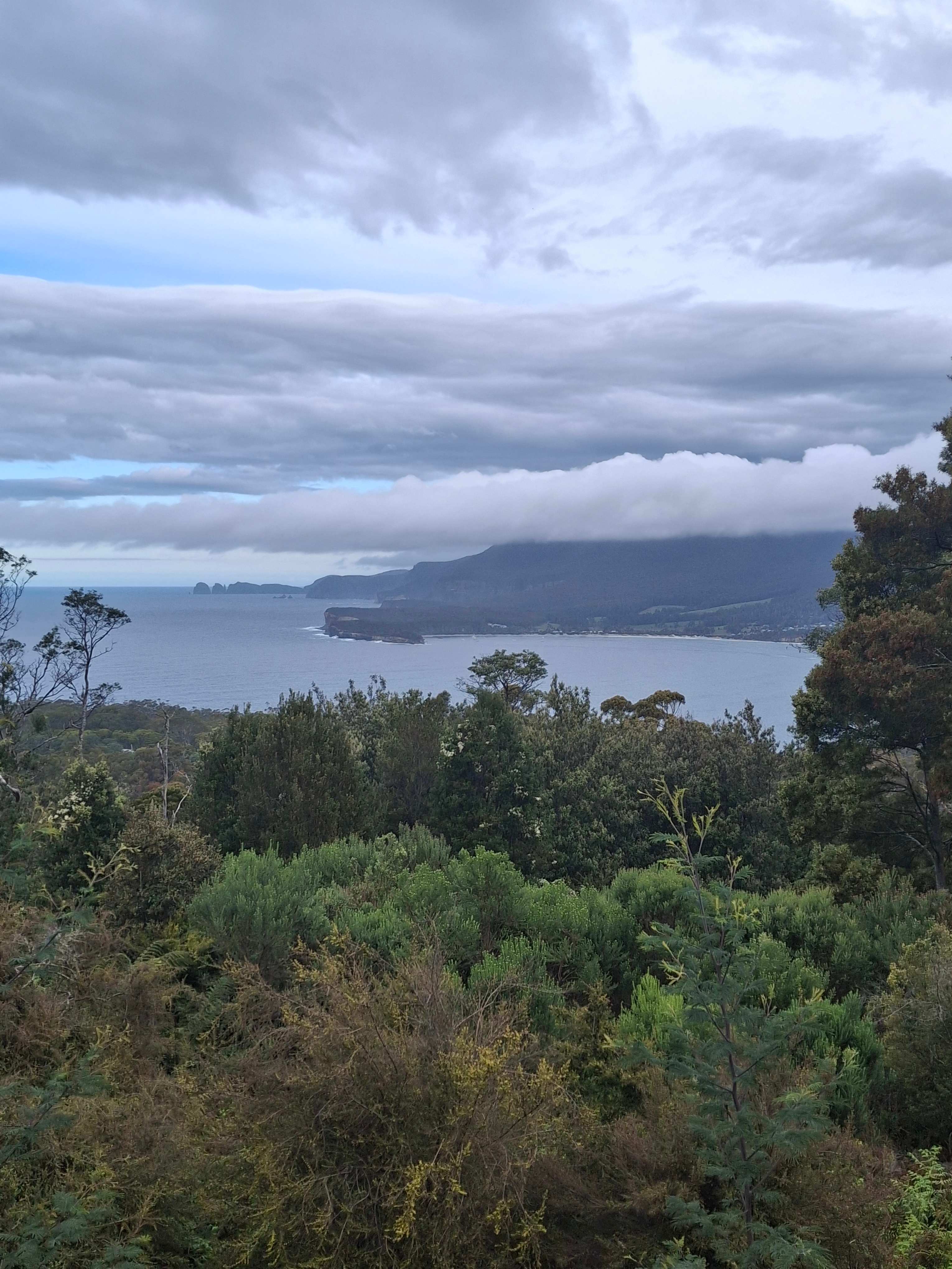 Sea Cliff Lookout Bus
