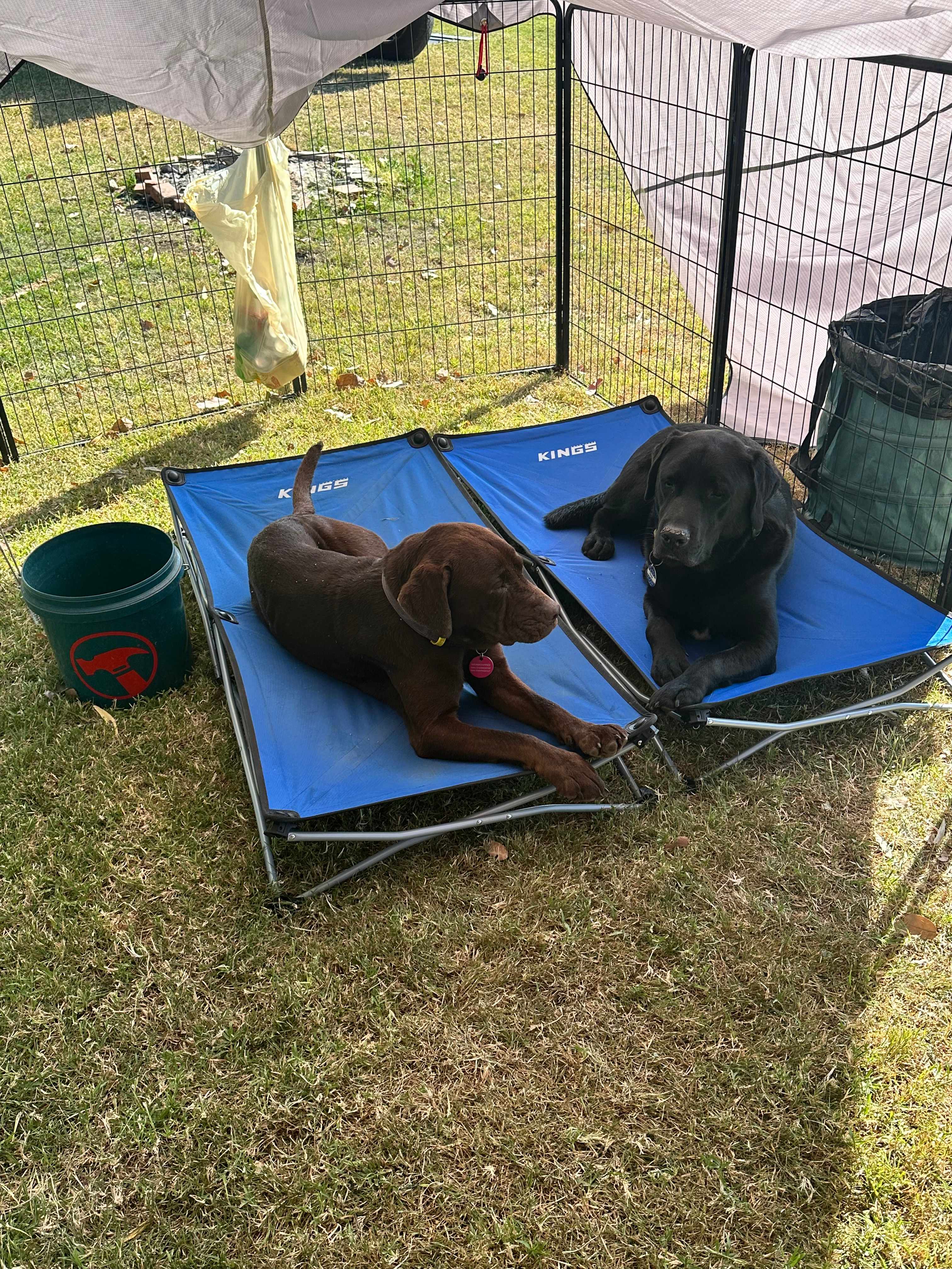 Scenic Retreat - Teviotville