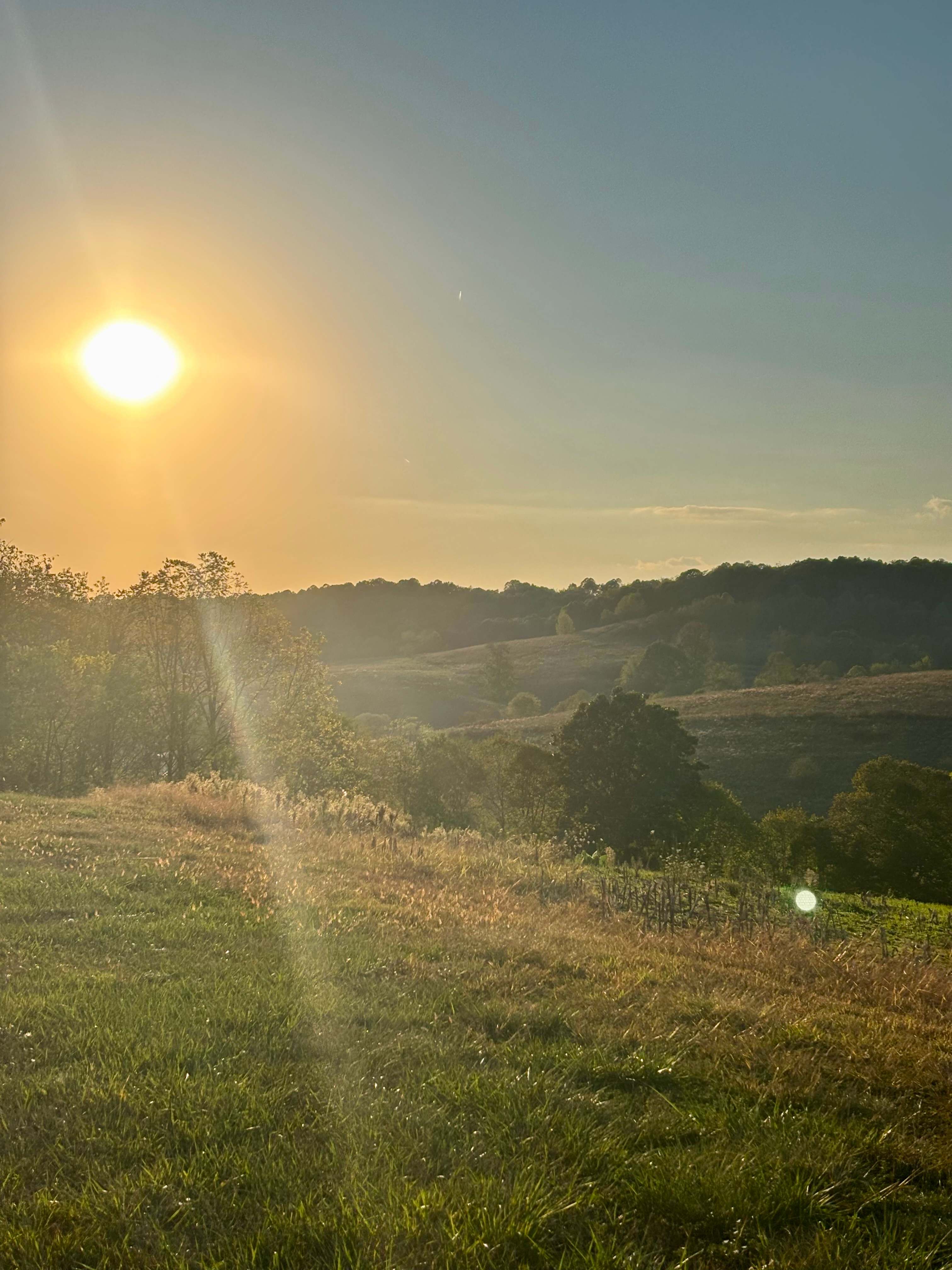McKee Farm - Treehouses and Camping