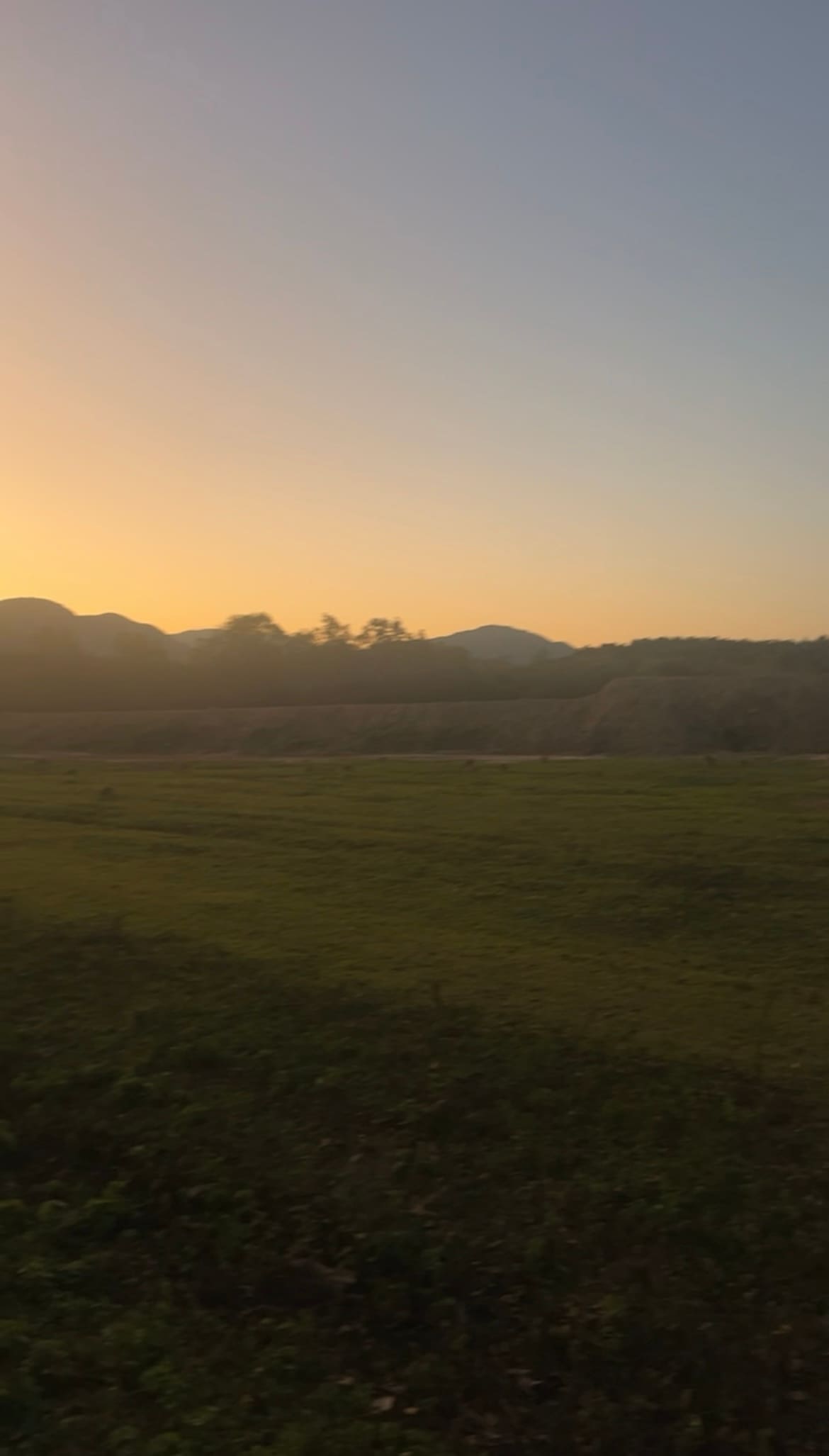 Easy Camping at Wallaby Nights