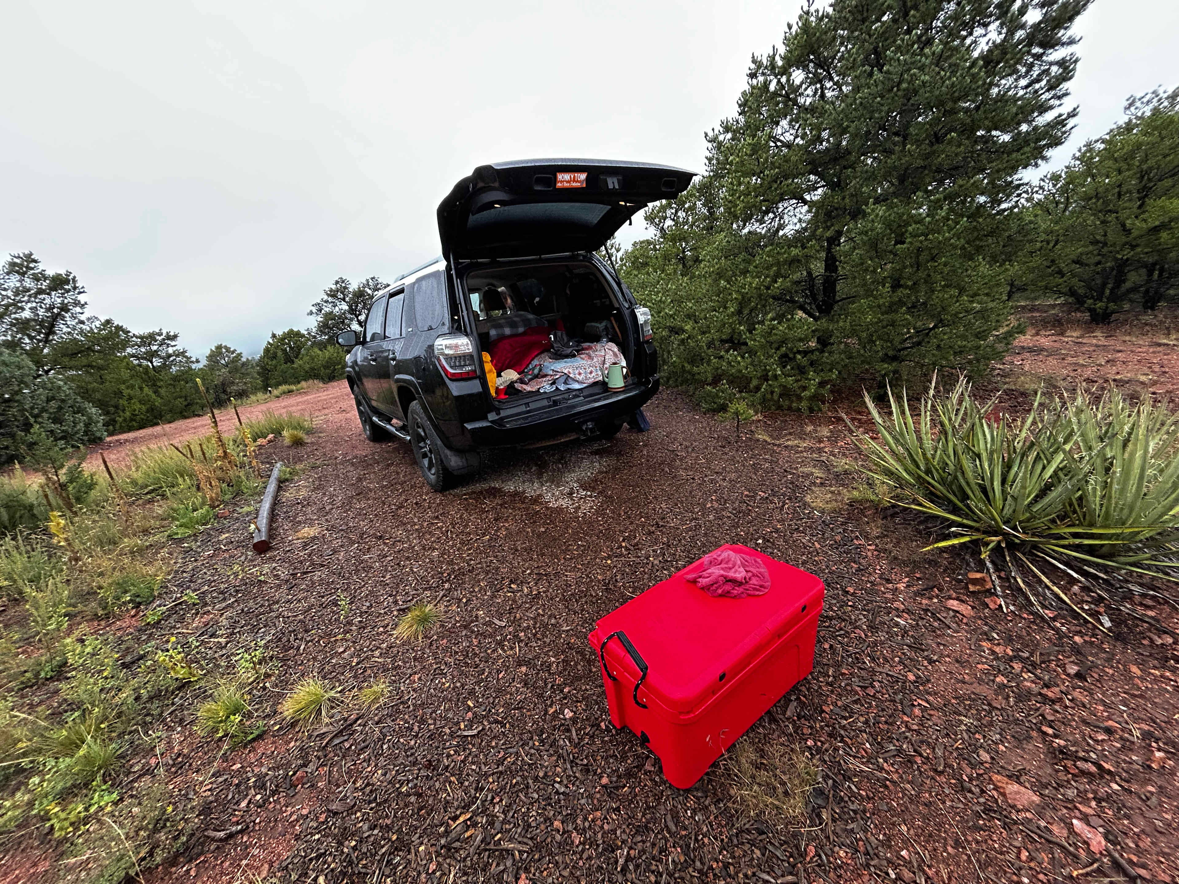 Santa Fe Treehouse Camp & Wilderness Preserve