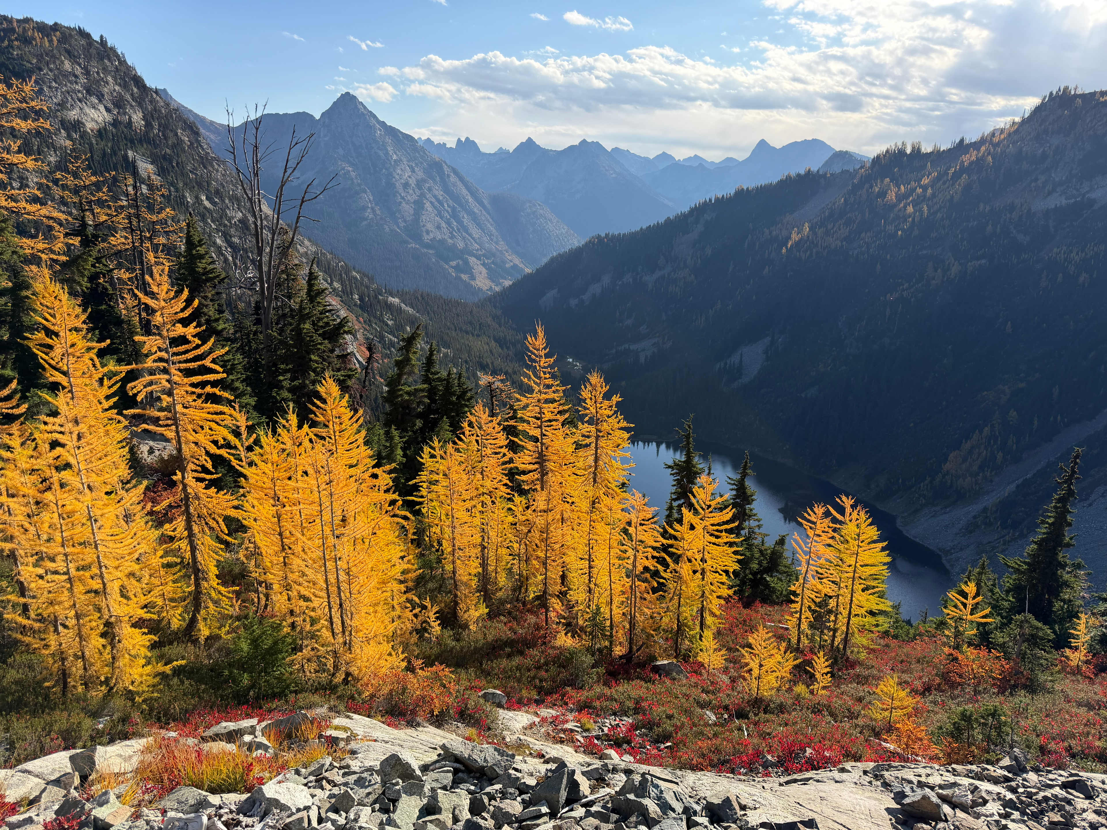 Campsite was a one hour drive from a beautiful larch hike 