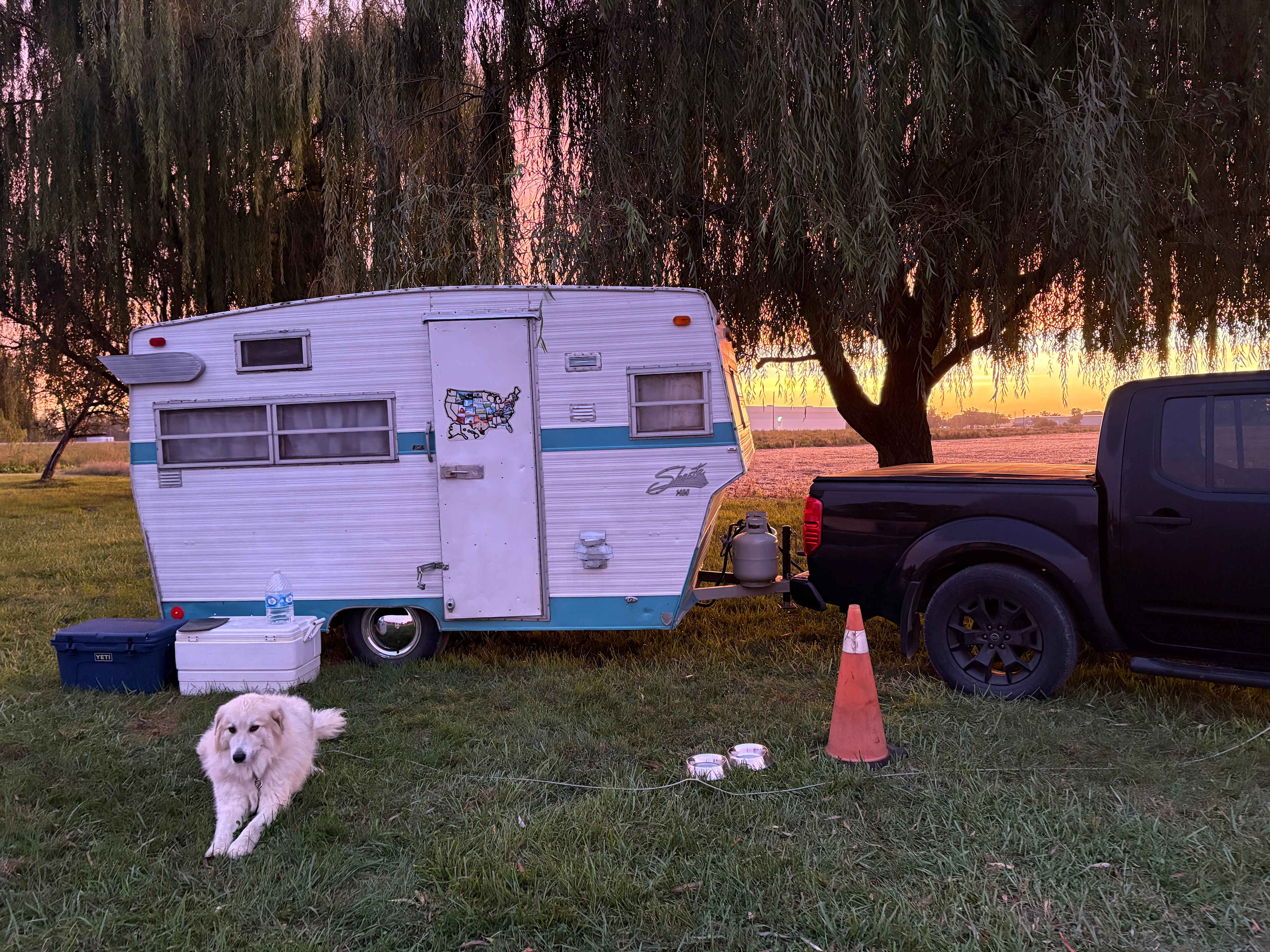 Mingo chilling at sunrise