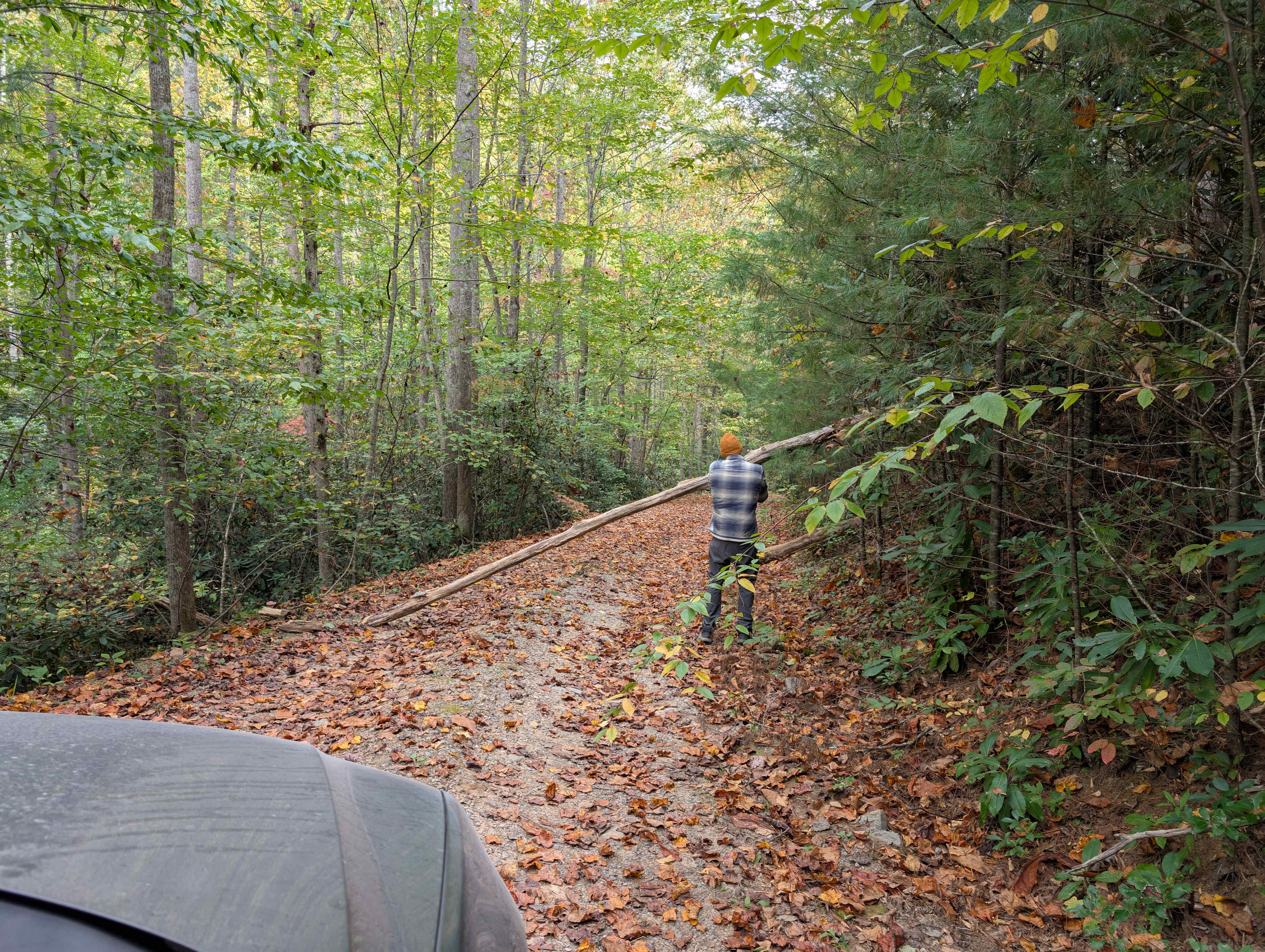 Mount Sterling Base Camp