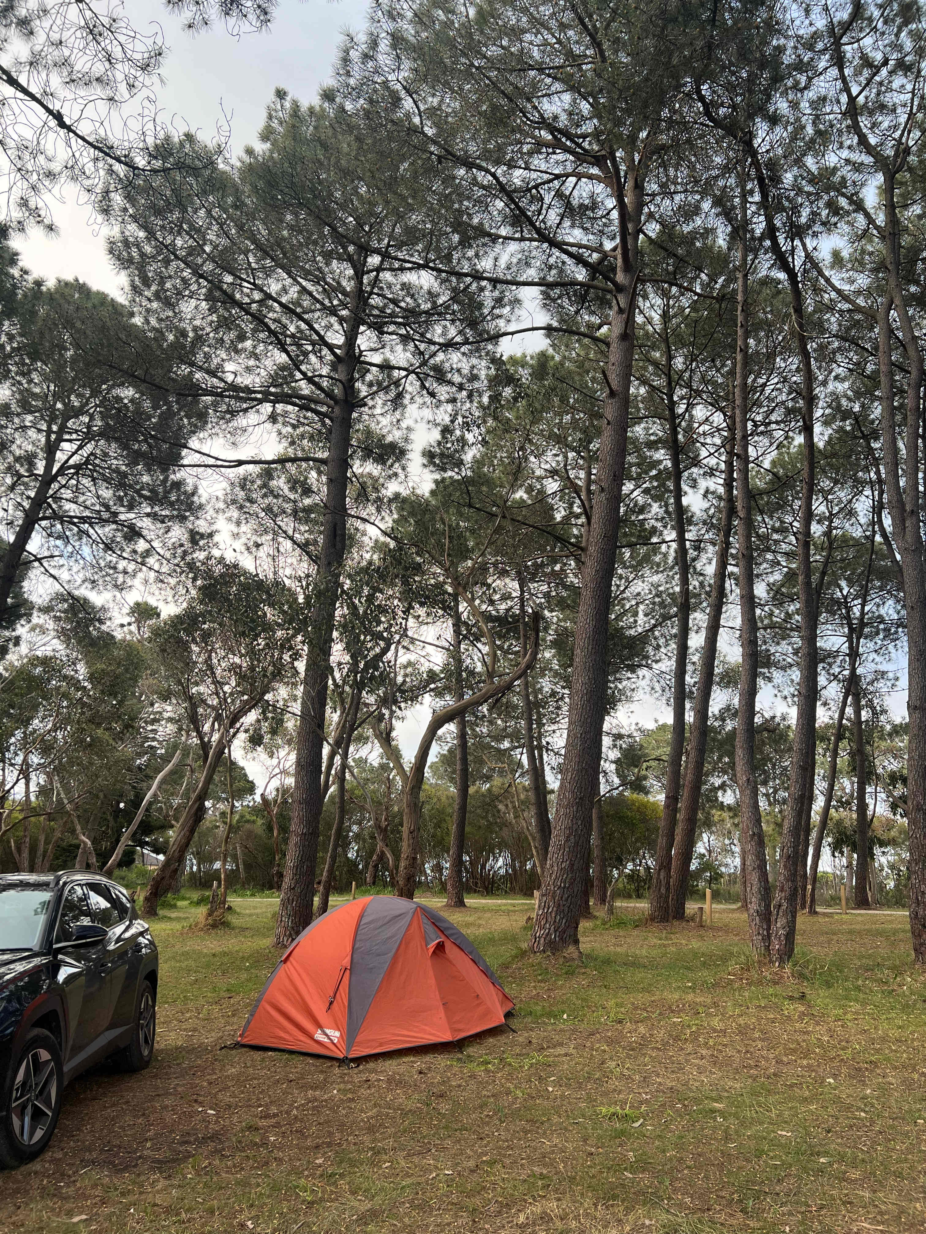 Bay Park Adventure Centre