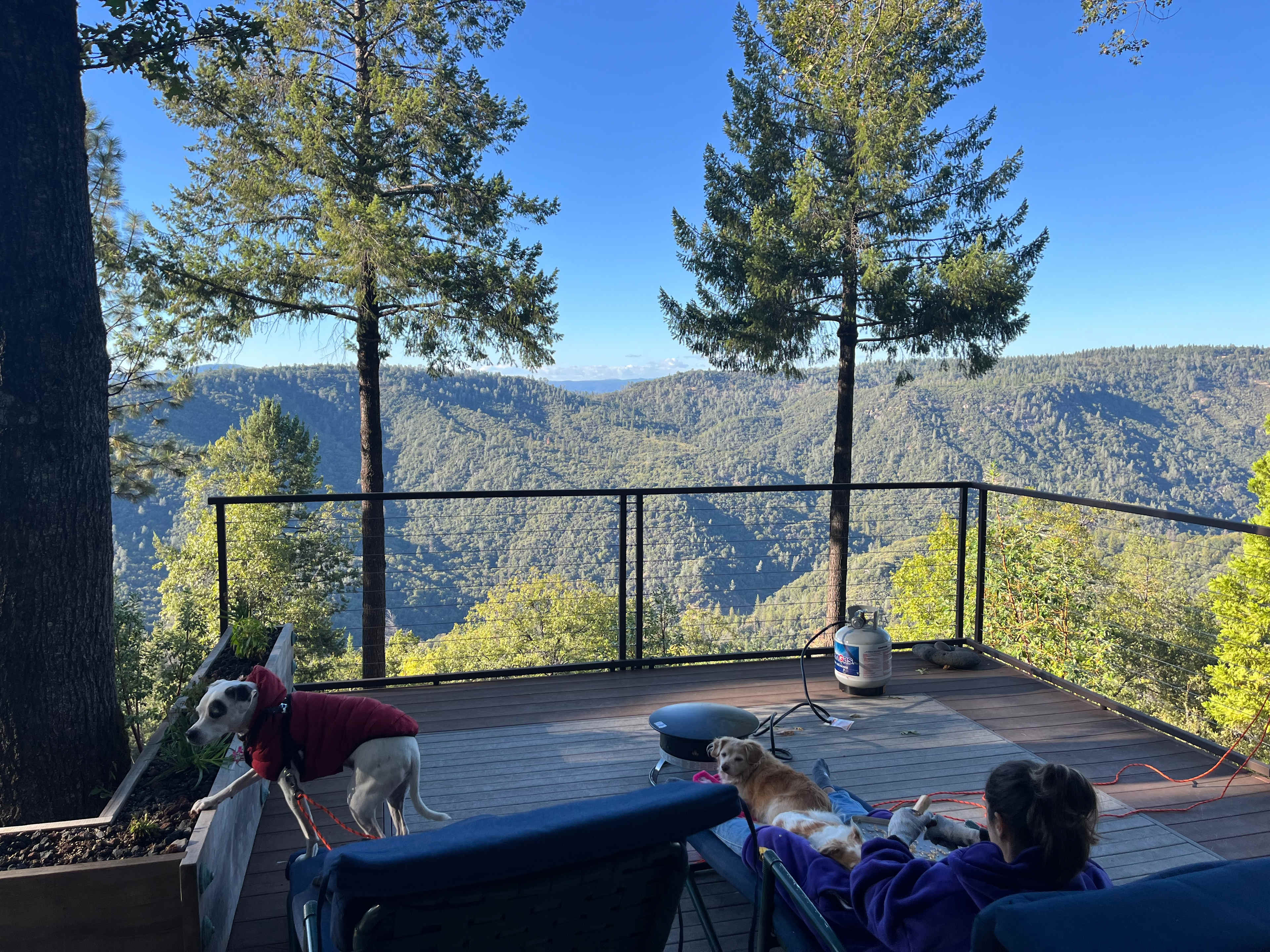 TerraSol~ "Earth Under the Sun"