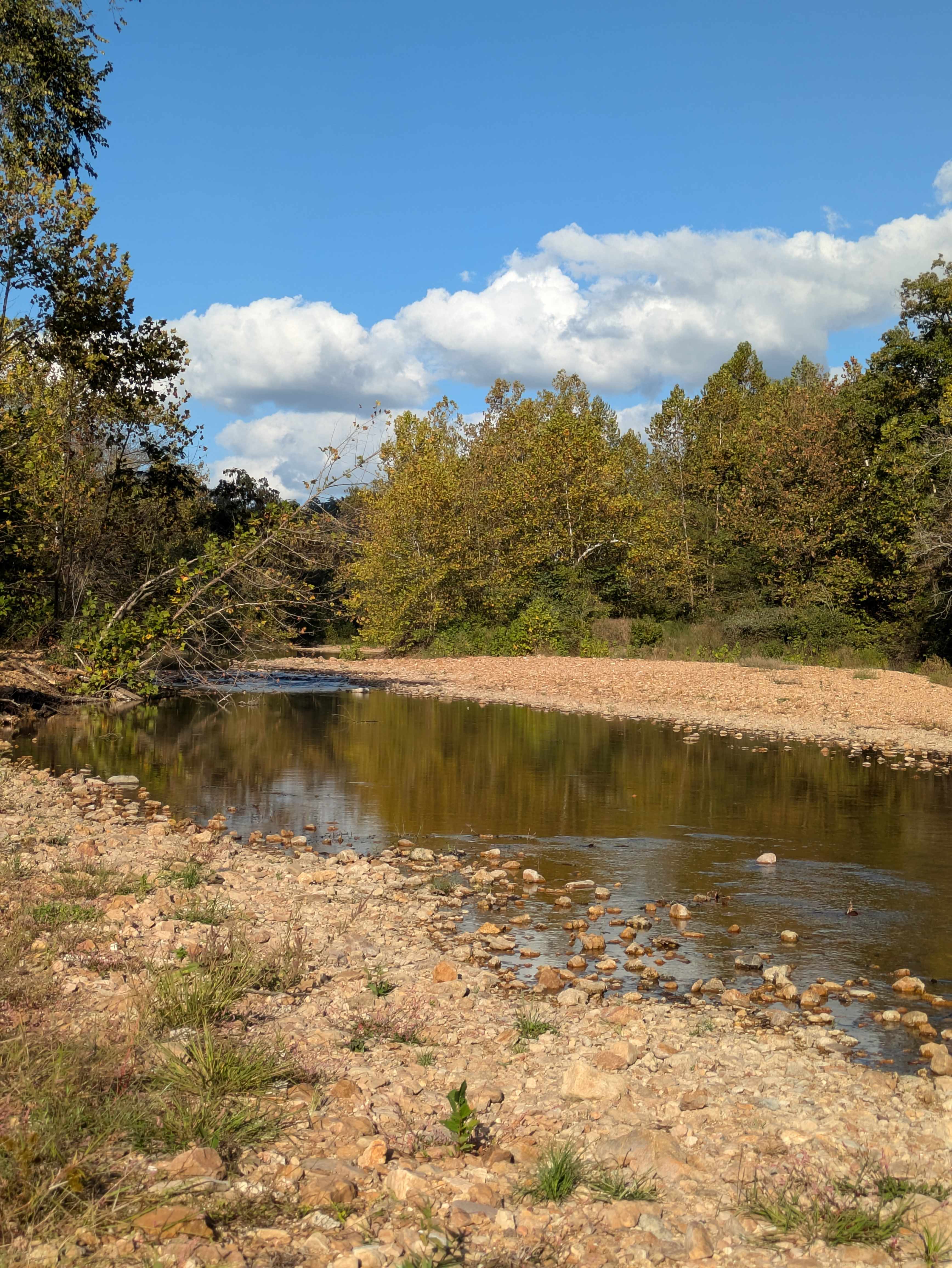 Sycamore Springs Campground