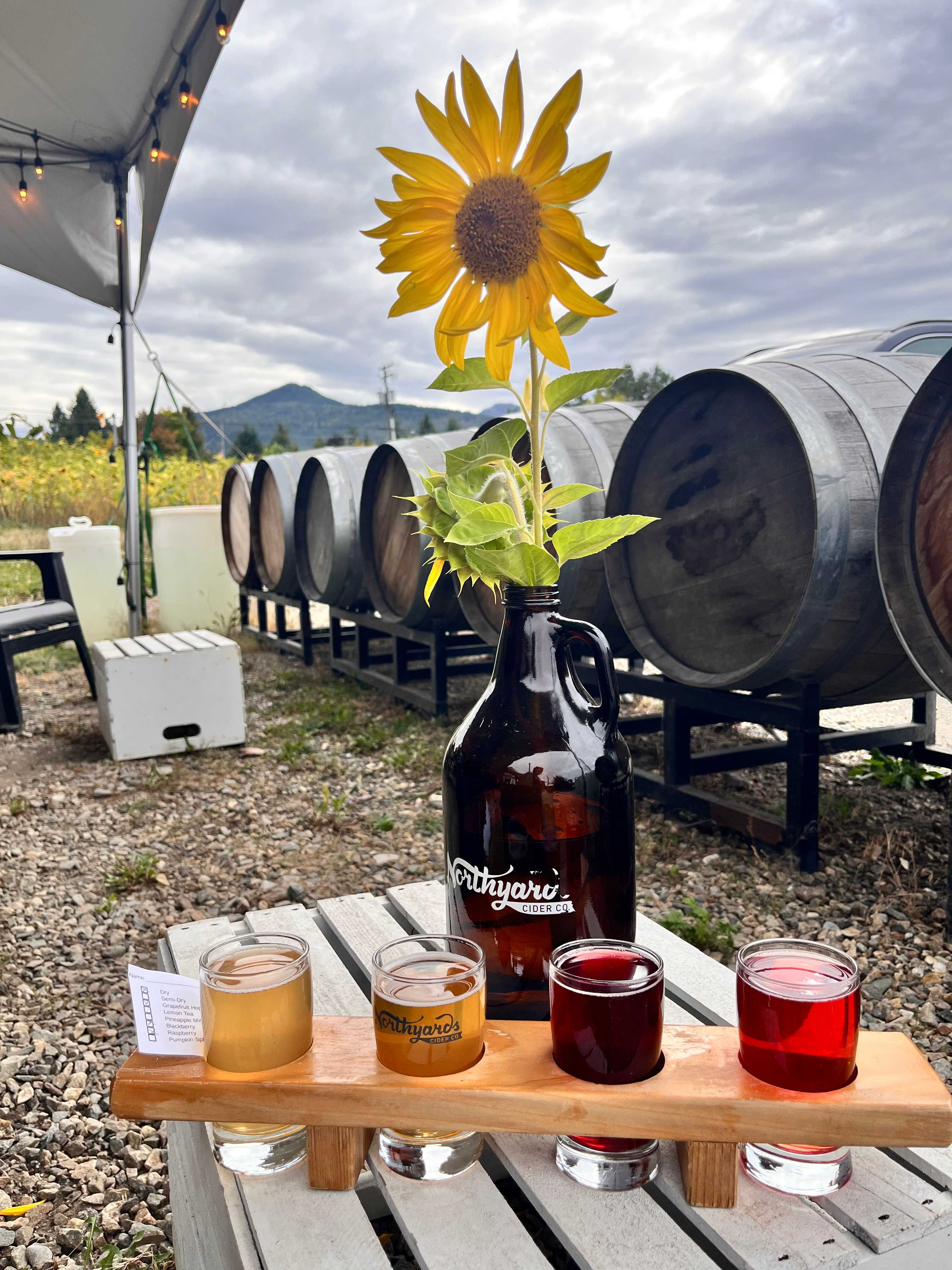 Northyards Cider Co.