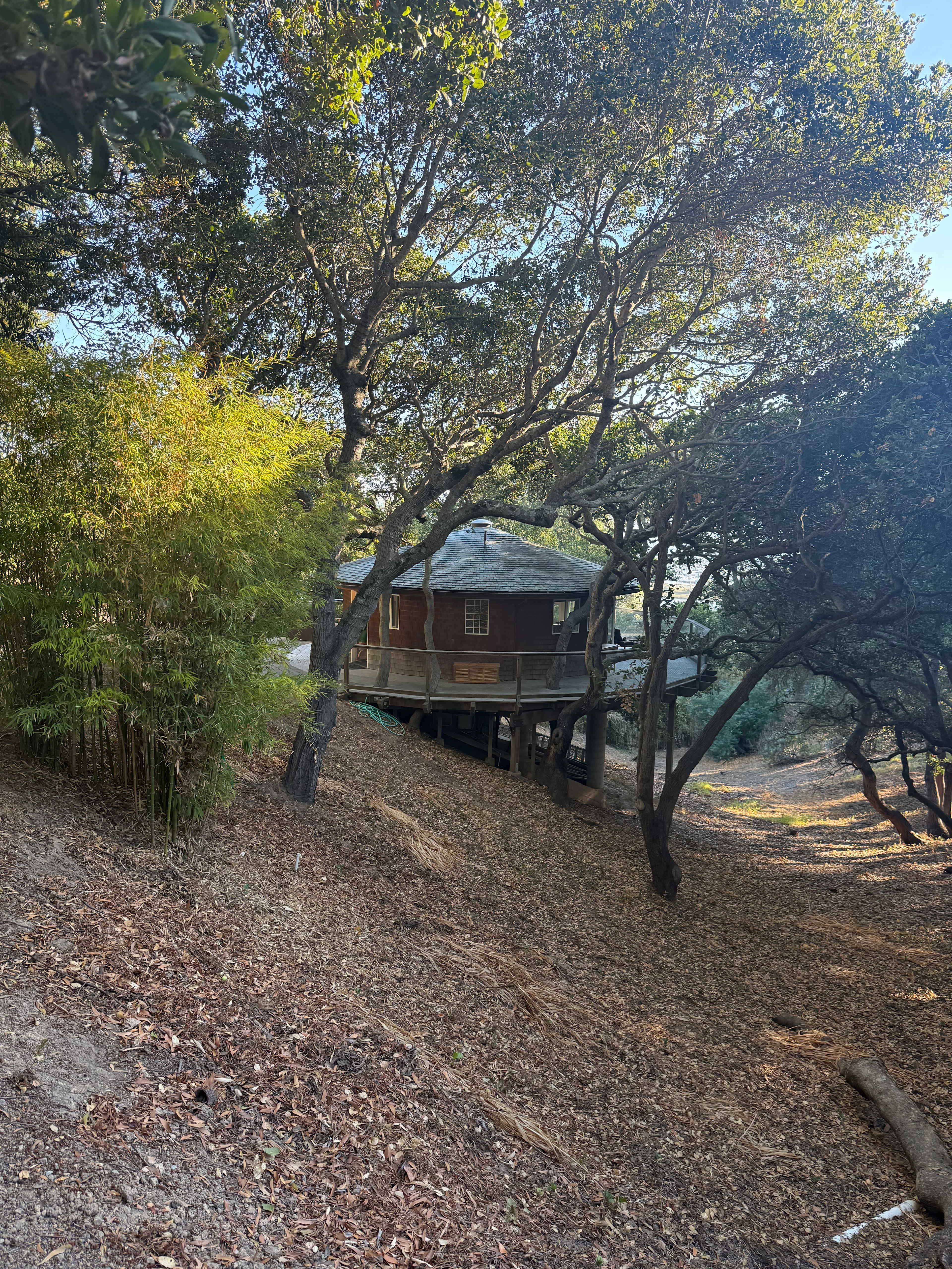 Bay View "Tree House"