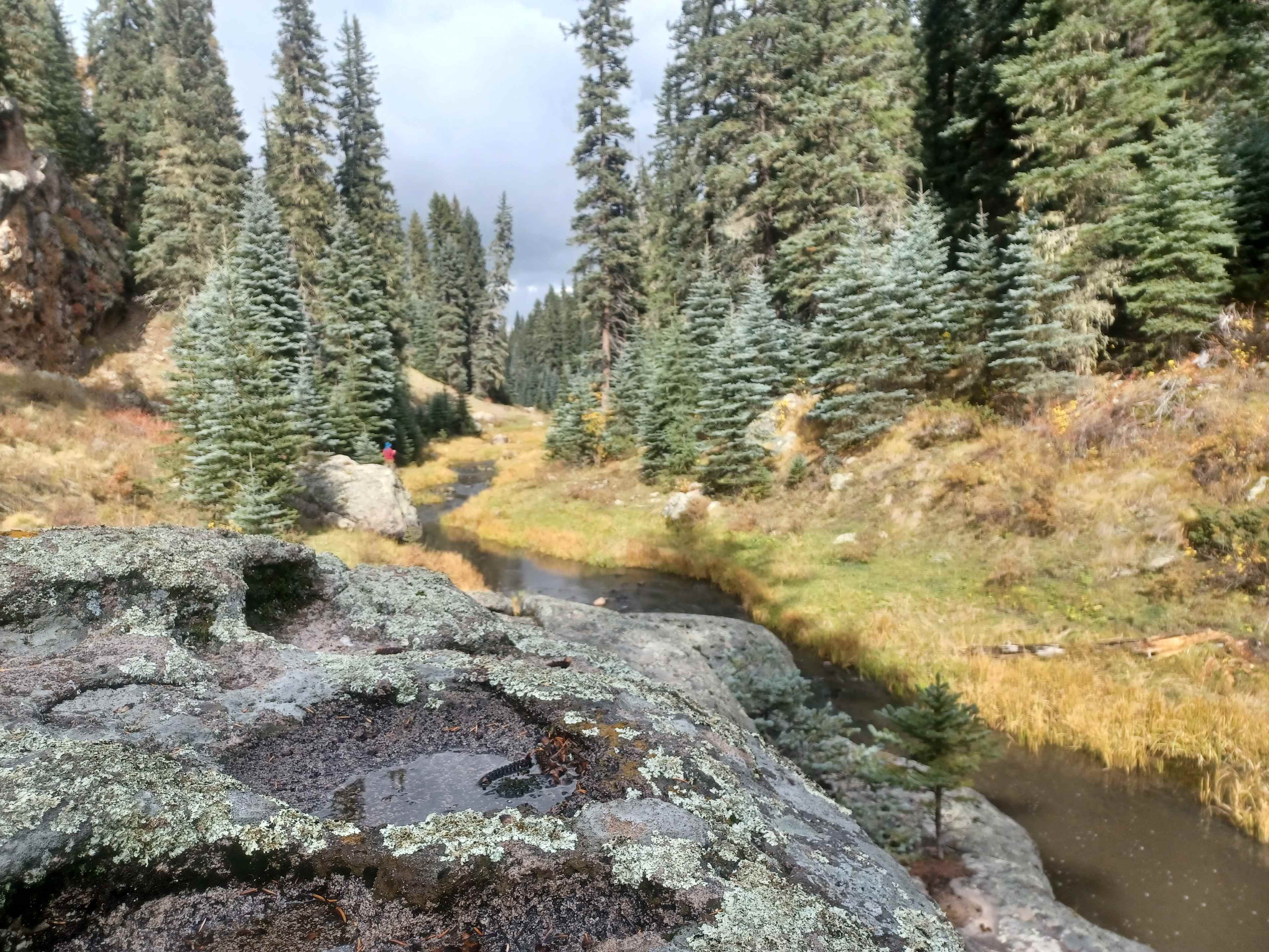 Hike at Valles Caldera.