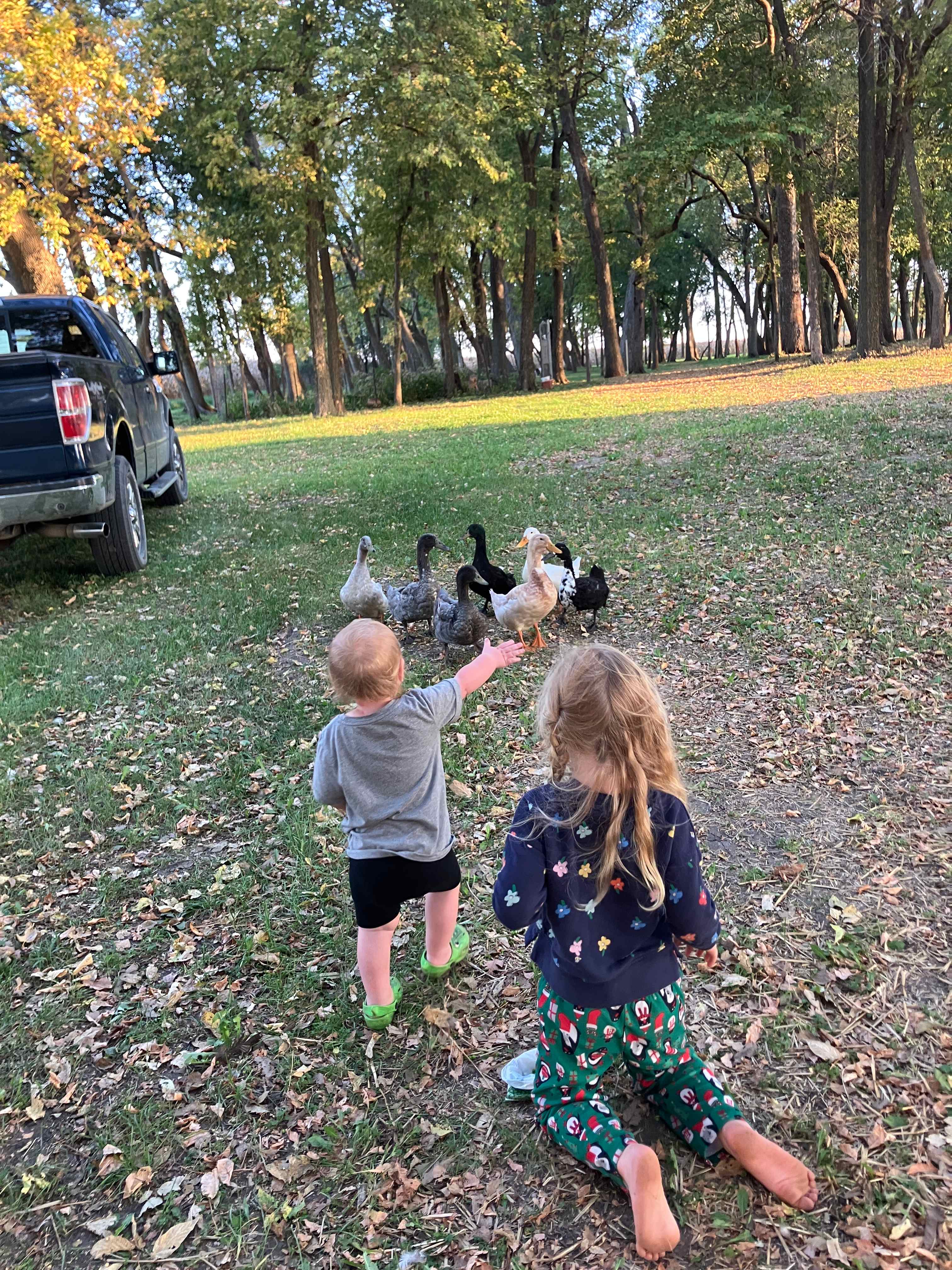 Mn River Valley Sanctuary