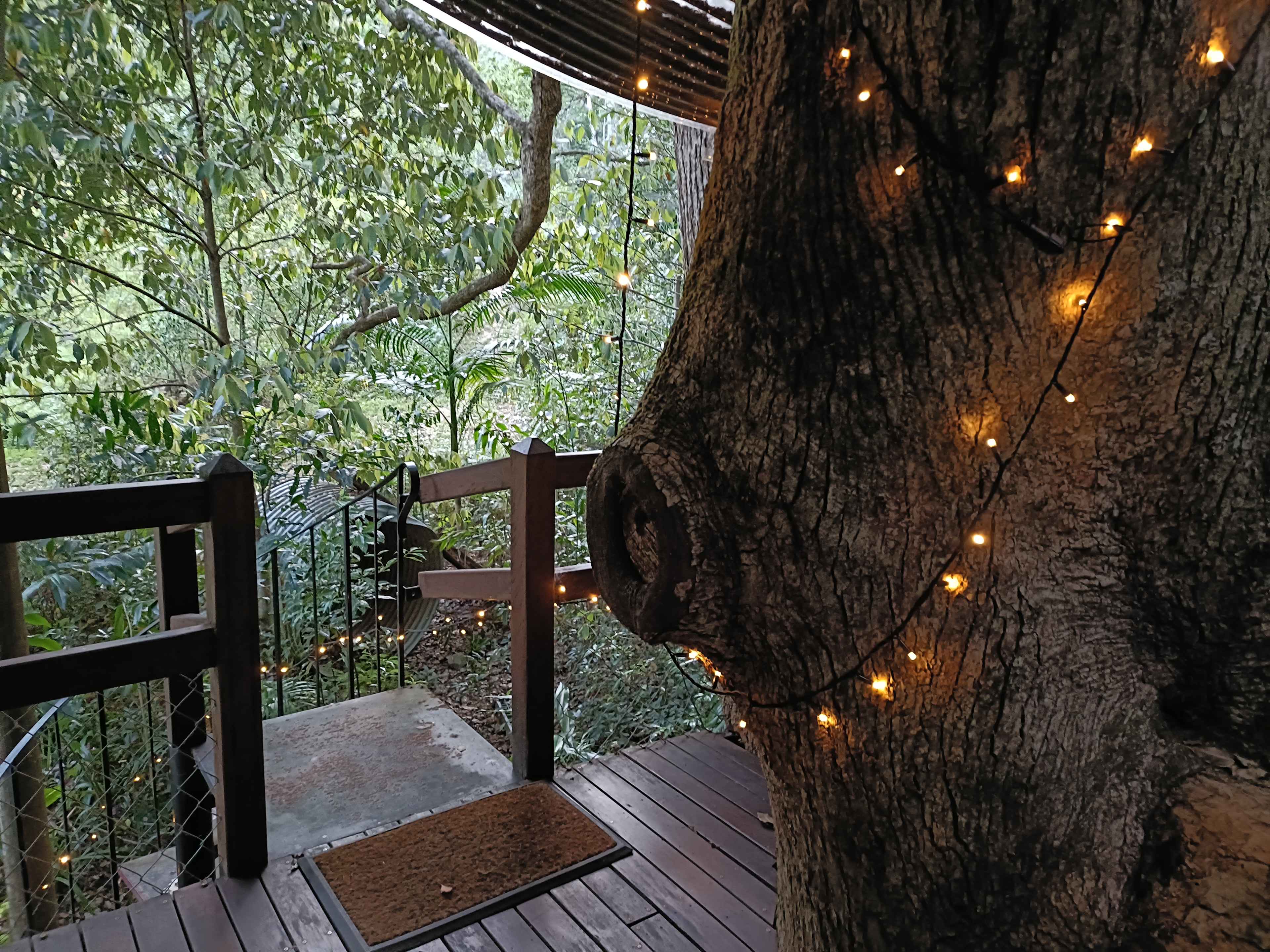 Crystal Creek Rainforest Treehouse