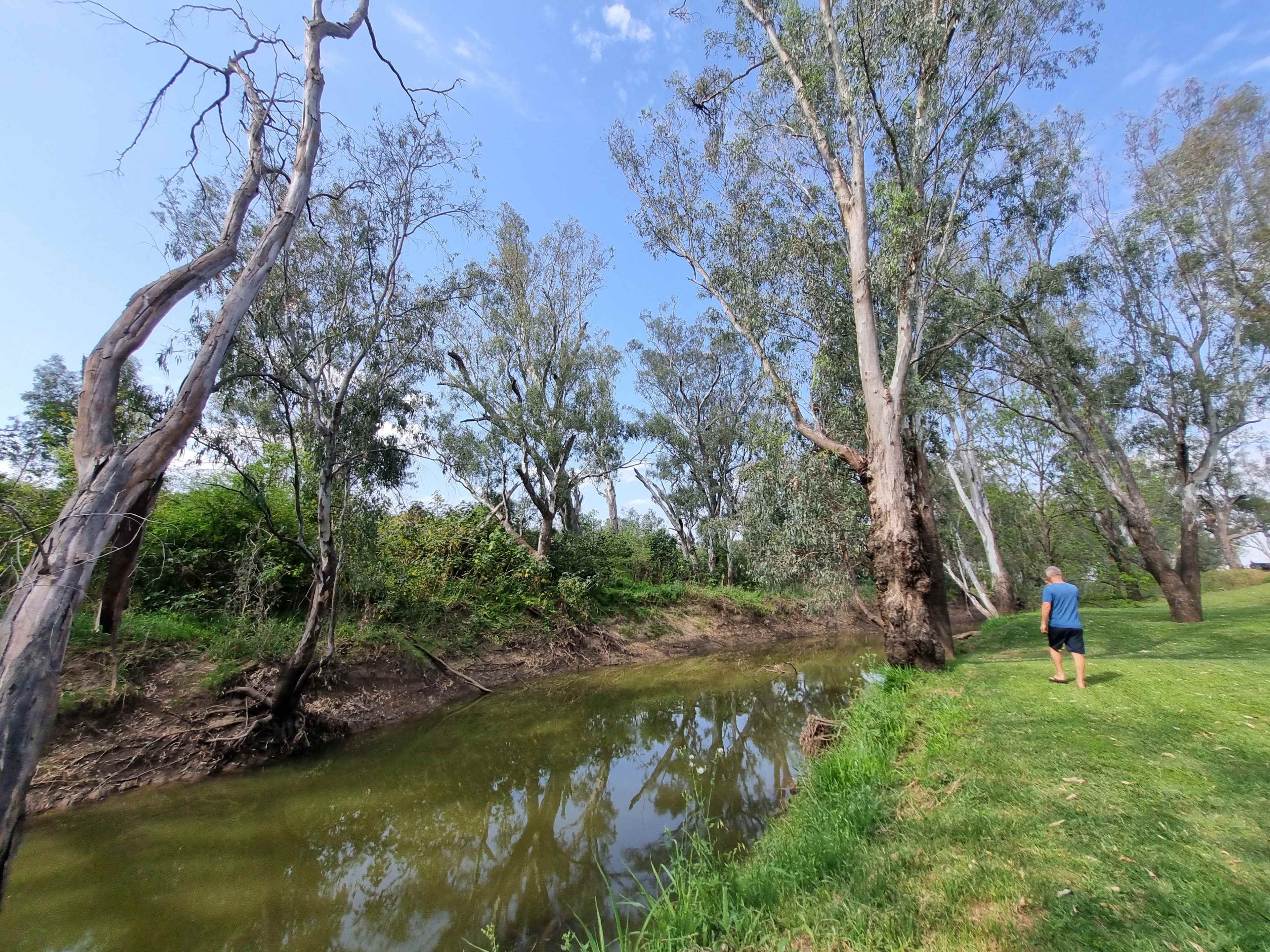 Pringy's Farm Balnagask