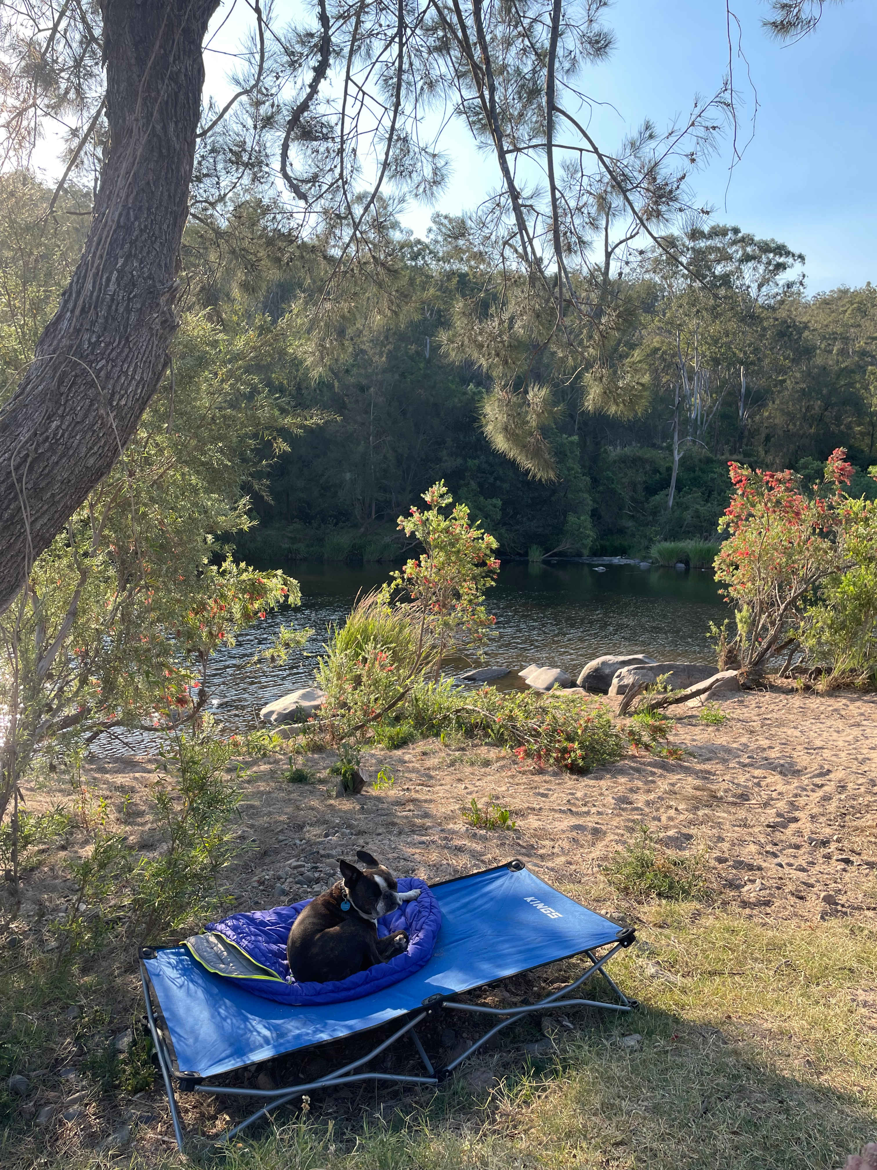 Eagle Ridge Bush Retreat