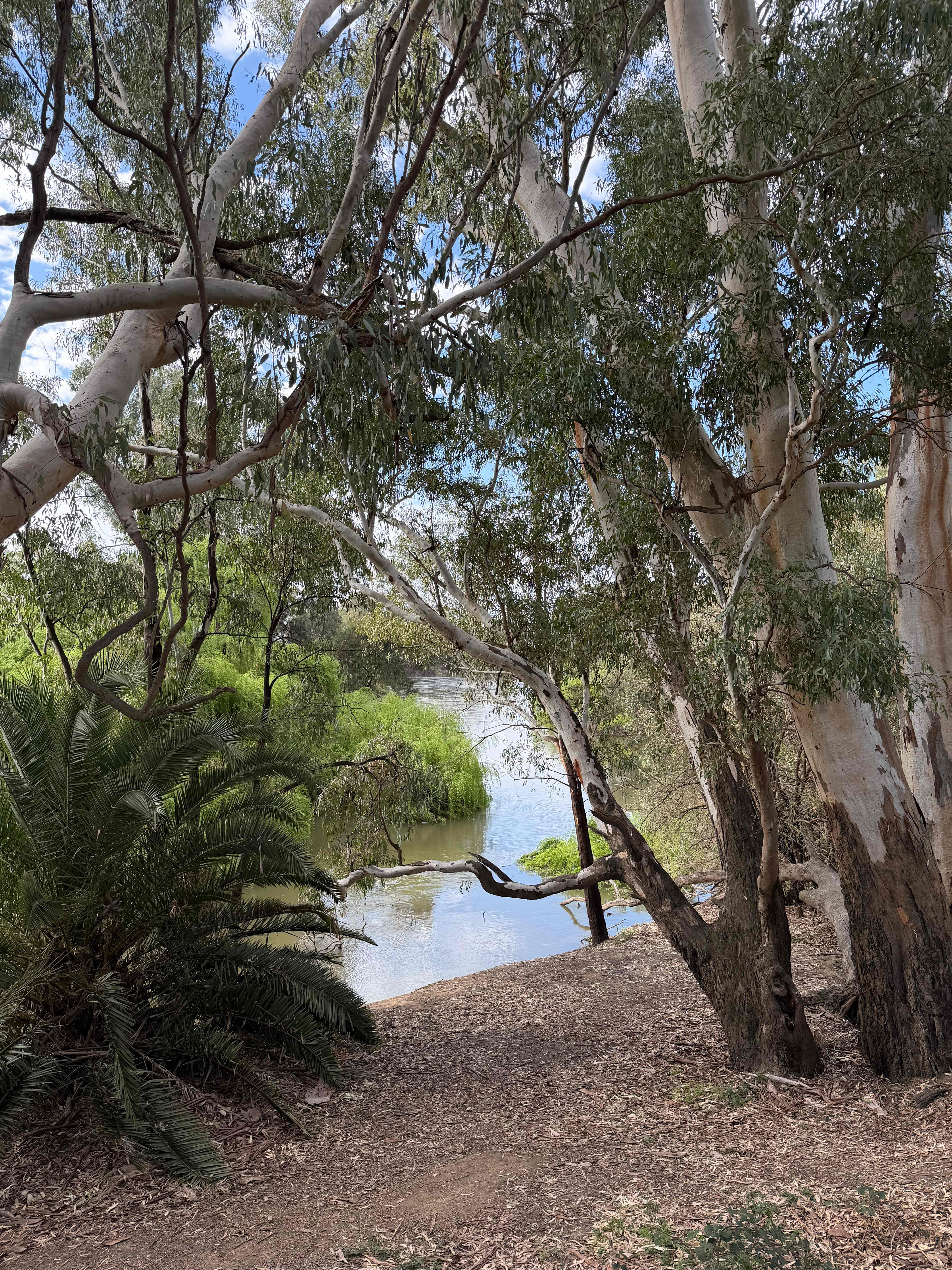 BIG4 Ingenia Holidays Wagga Wagga