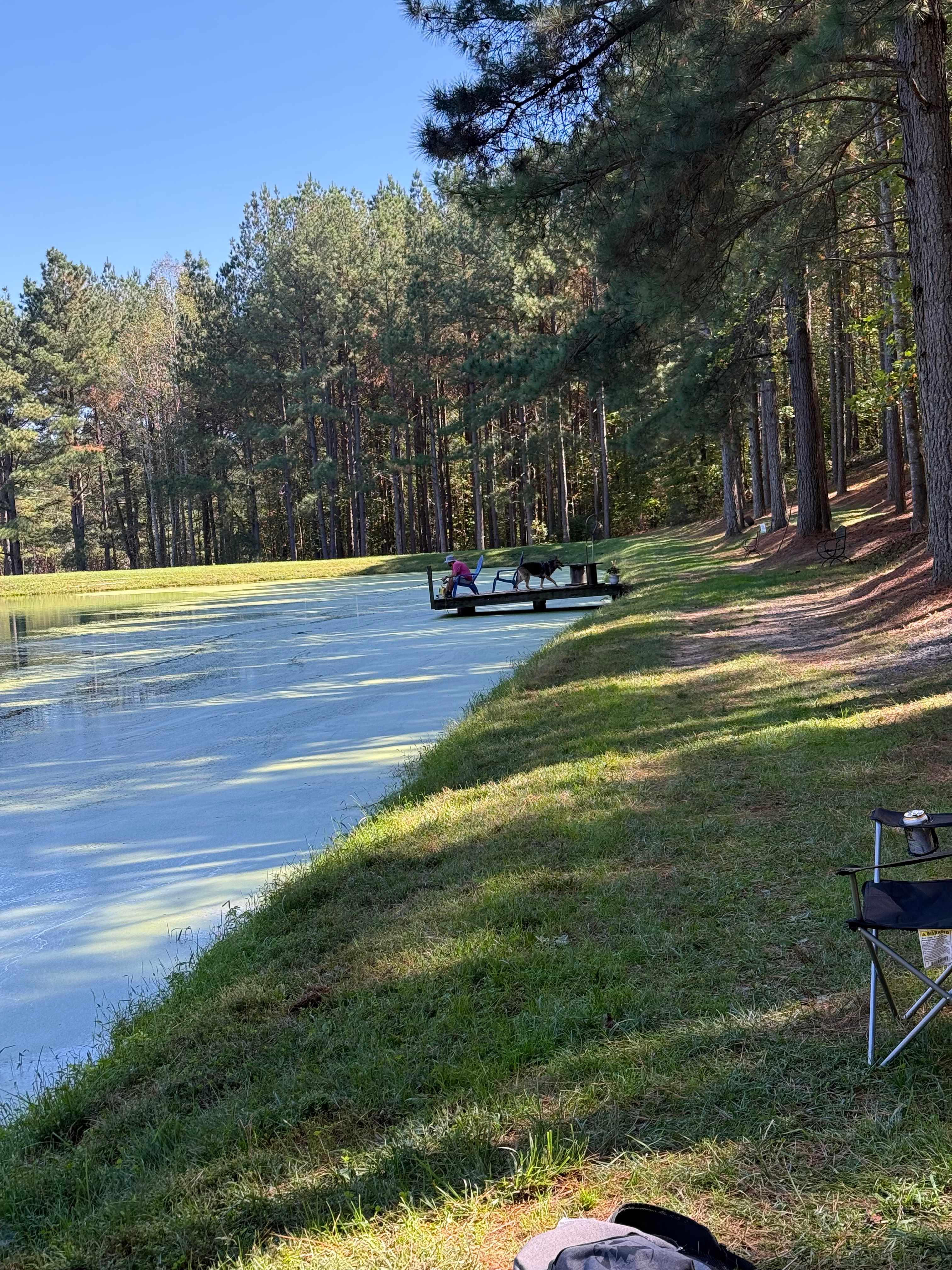 Peaceful Meadows Farm