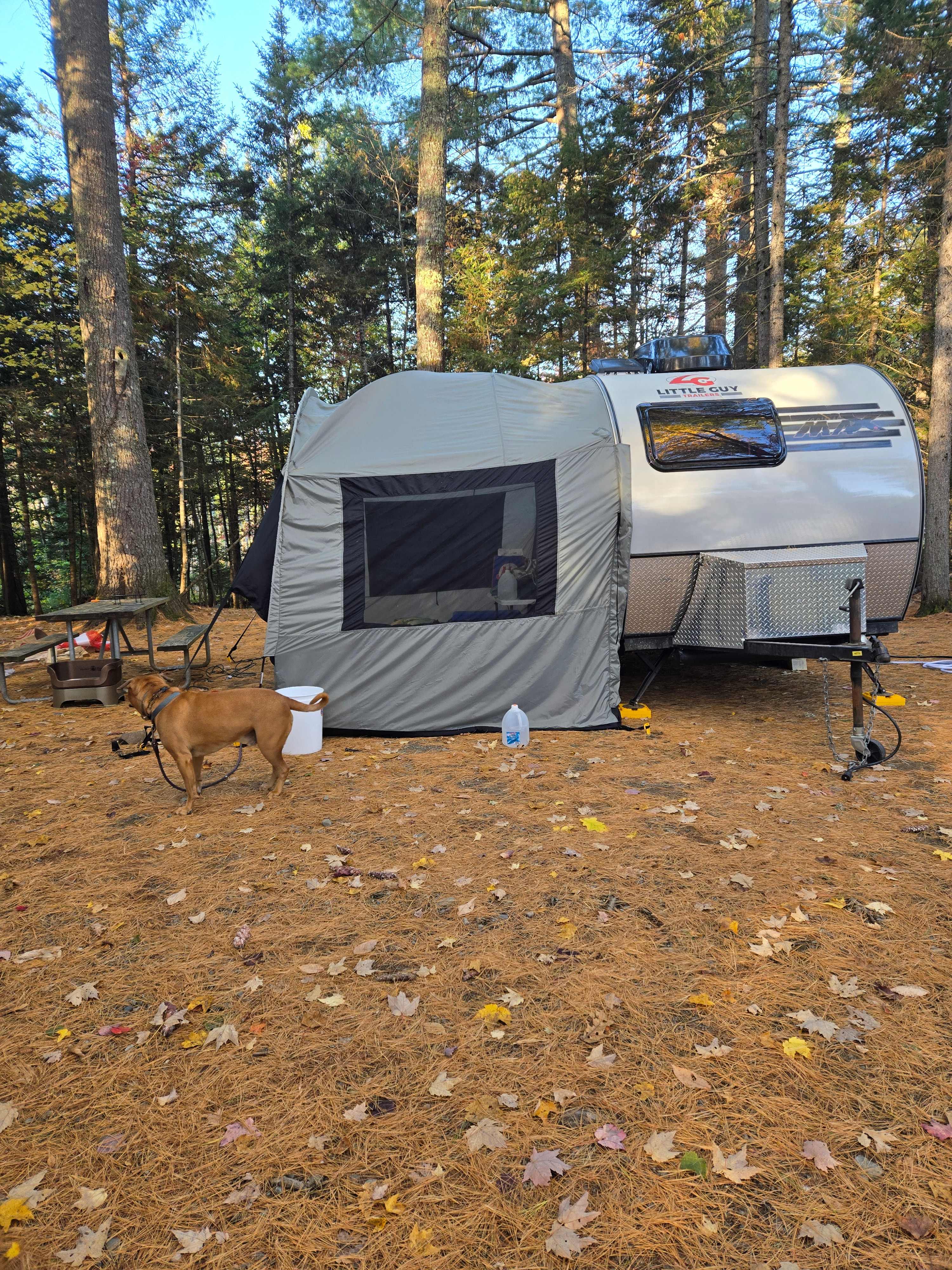 Spacious Skies Balsam Woods