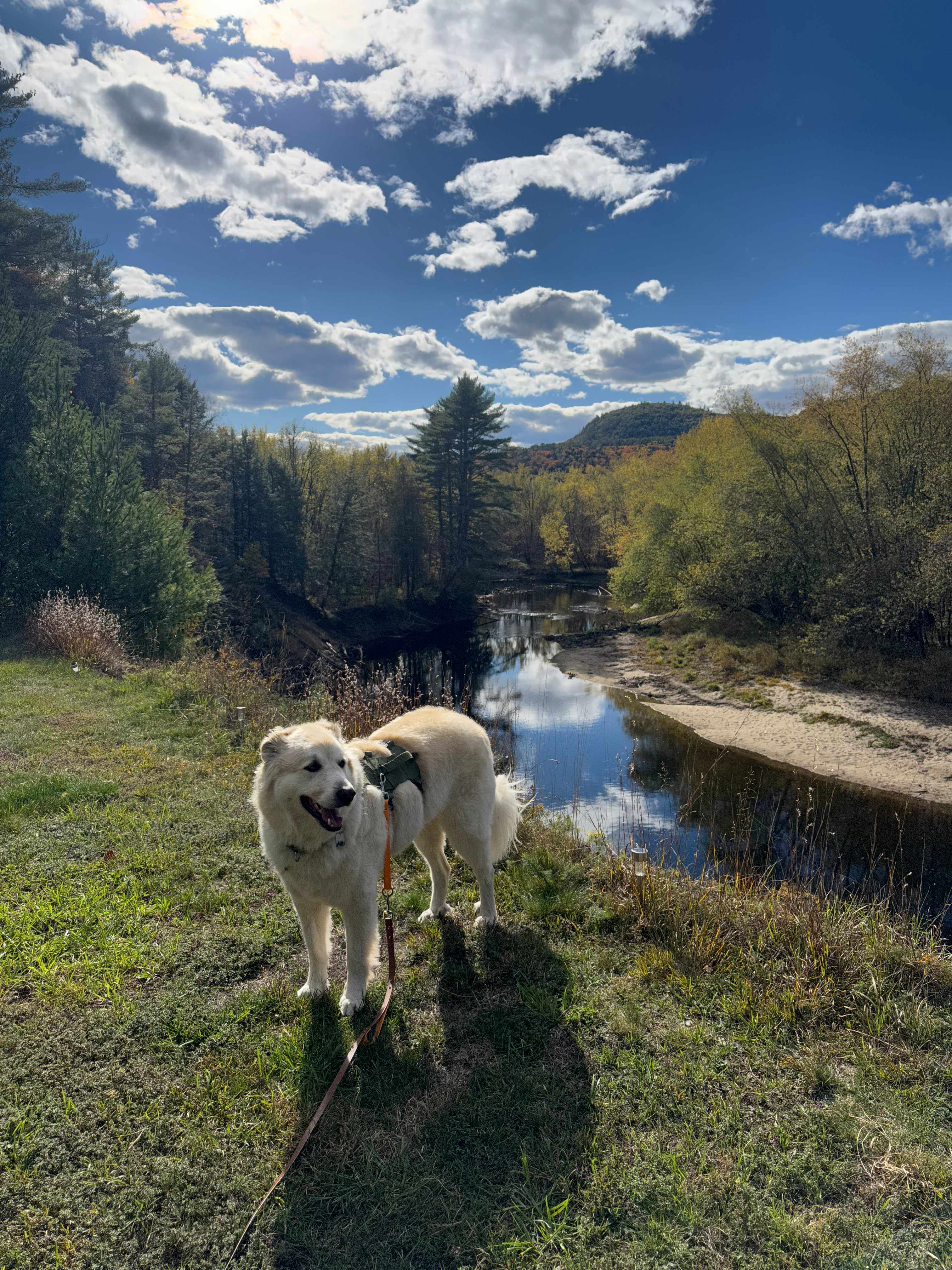 Transparent Sands, Diamond Point